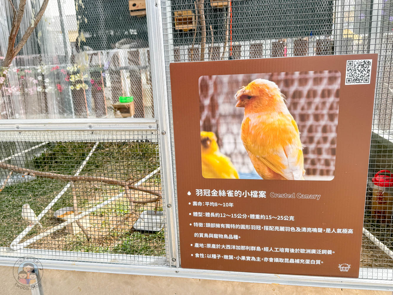 南投|水与松萌萌園》2026門票 與水豚君 笑笑羊近距離互動!埔里秘境落羽松步道 - 第45張圖 南投|水与松萌萌園》2026門票 與水豚君 笑笑羊近距離互動!埔里秘境落羽松步道