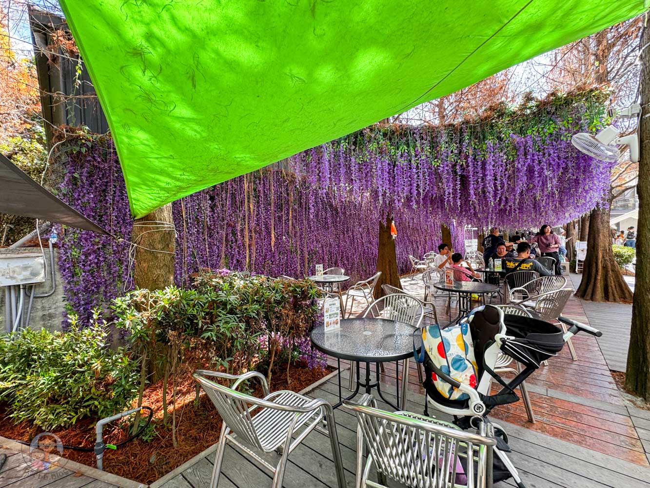 南投|水与松萌萌園》2026門票 與水豚君 笑笑羊近距離互動!埔里秘境落羽松步道 - 第54張圖 南投|水与松萌萌園》2026門票 與水豚君 笑笑羊近距離互動!埔里秘境落羽松步道