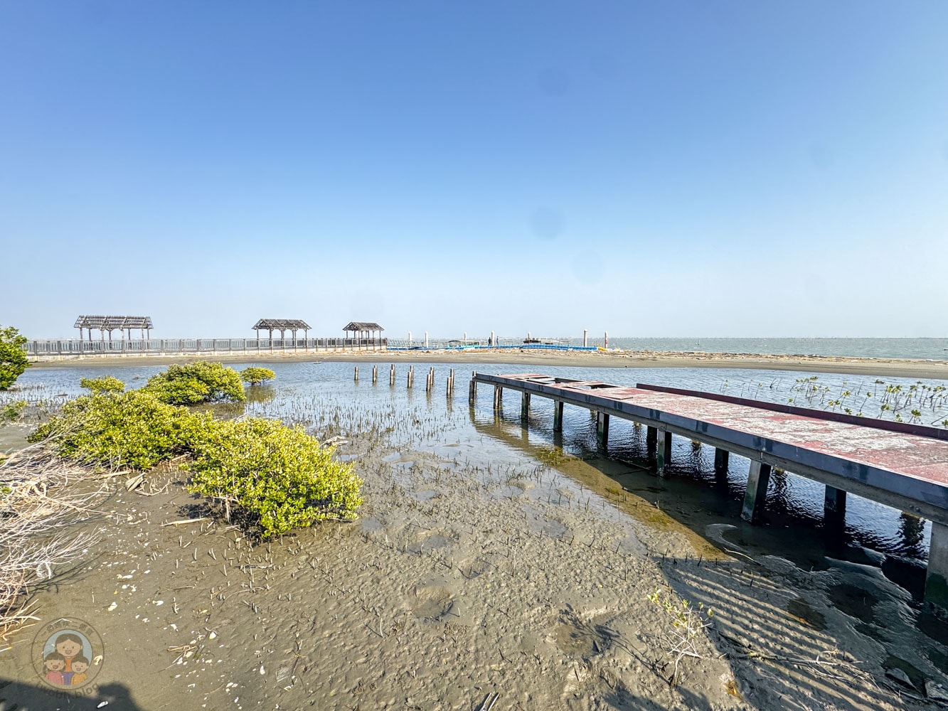 台南｜永順號遊潟湖》250元烤蚵不限時吃到飽！搭船探索無人島秘境，高CP值親子生態導覽。