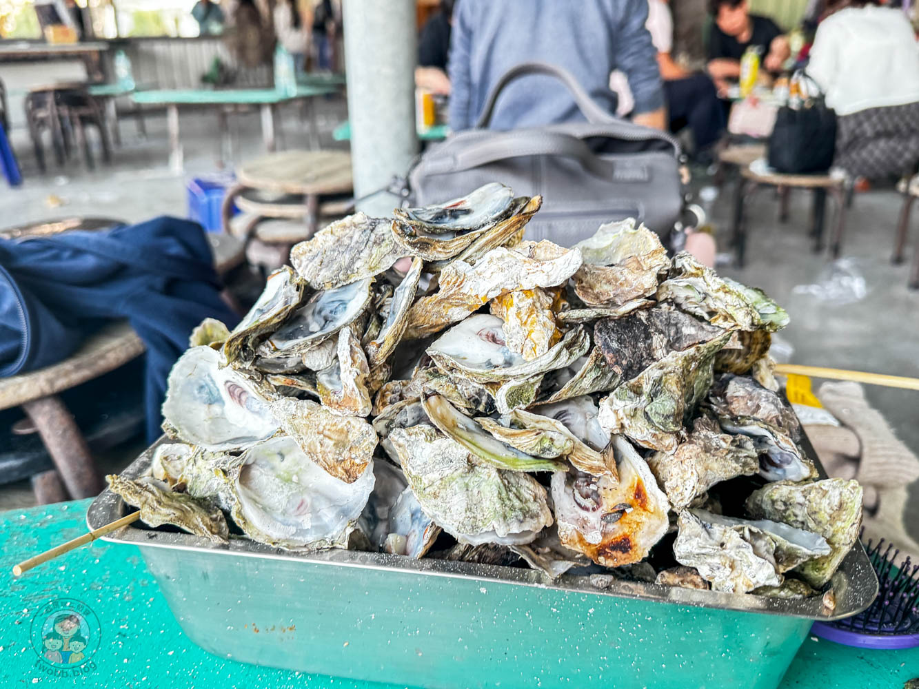 台南｜永順號遊潟湖》250元烤蚵不限時吃到飽！搭船探索無人島秘境，高CP值親子生態導覽。