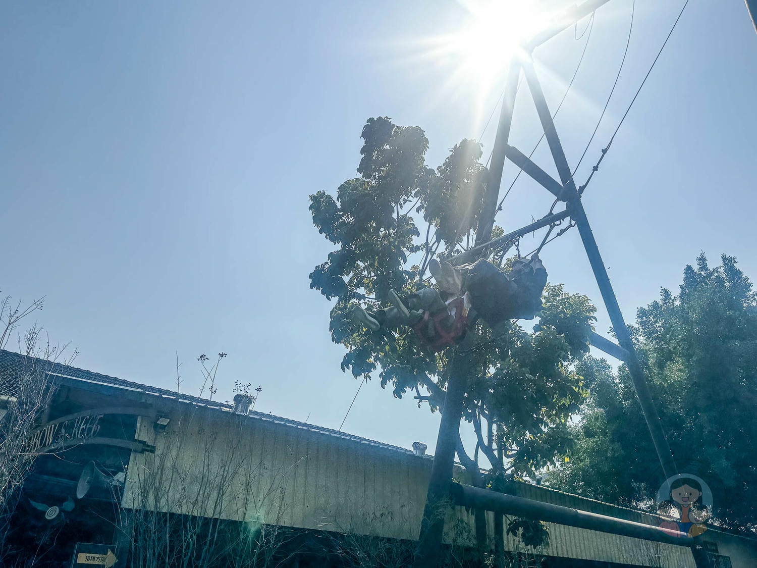 台南｜十鼓文創園區》台南百年老糖廠、魔法彩虹街、免費暢玩高空彈跳、飛天滑索挑戰。