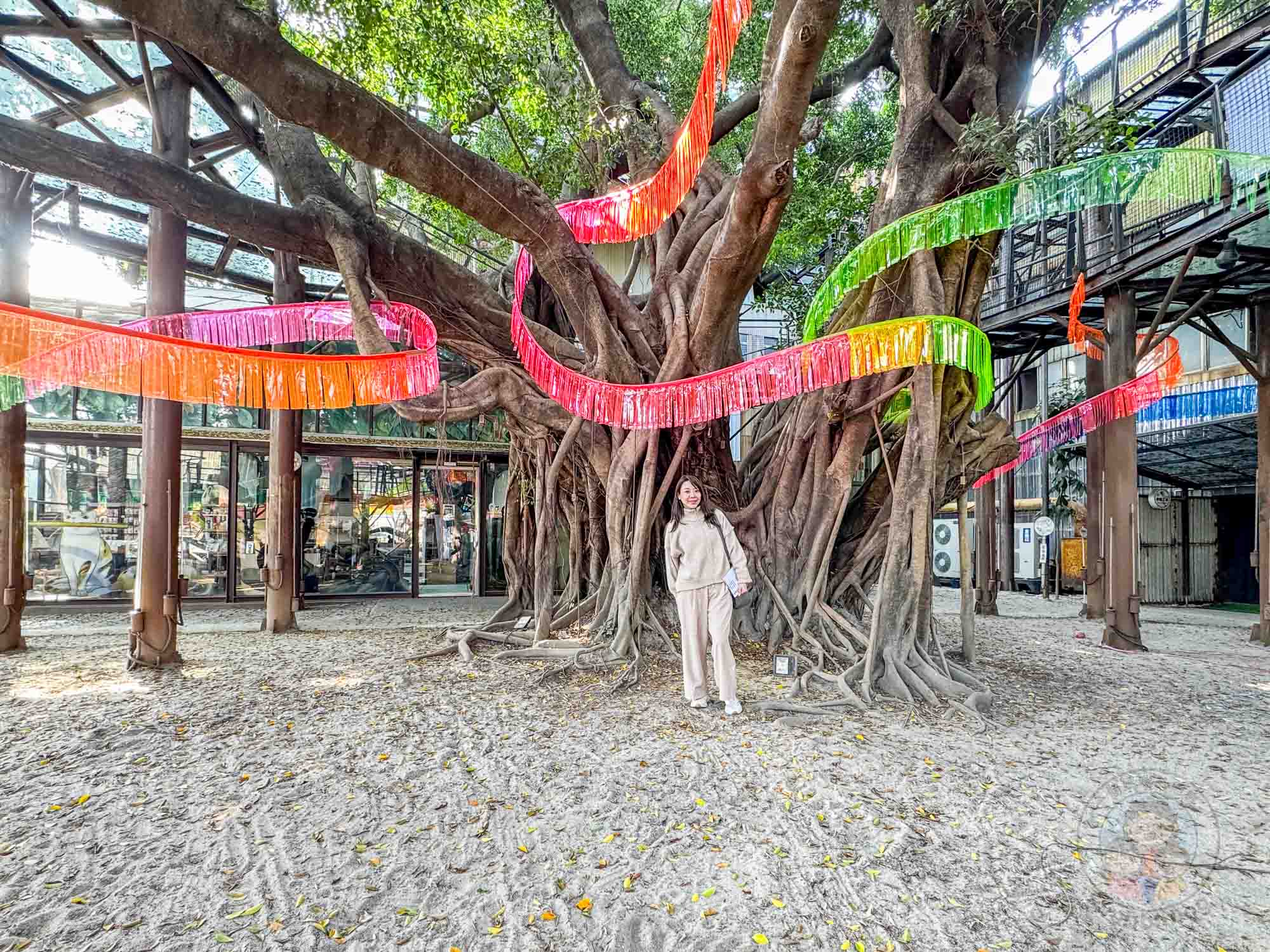 台南｜十鼓文創園區》台南百年老糖廠、魔法彩虹街、免費暢玩高空彈跳、飛天滑索挑戰。