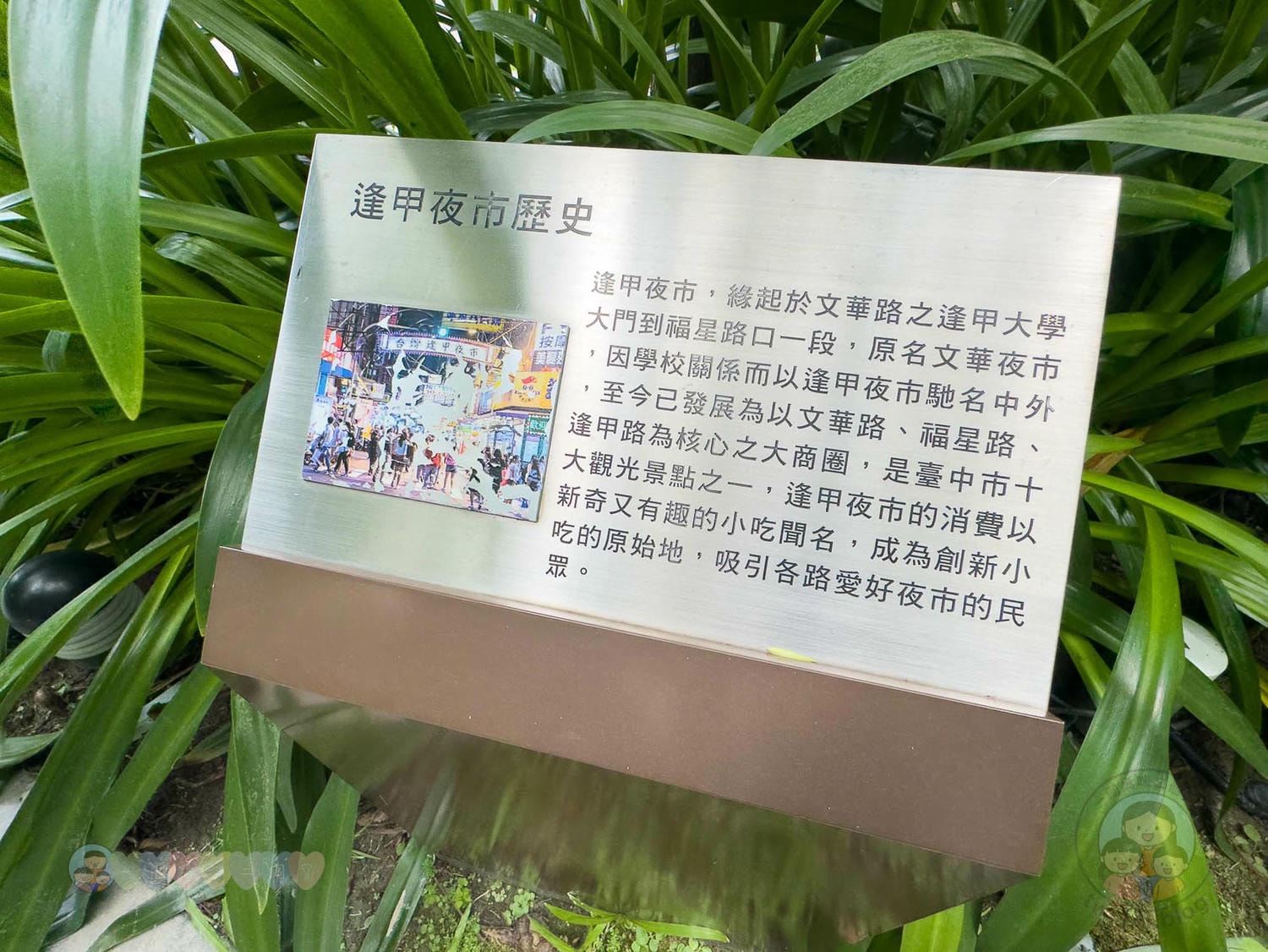 台中｜浮雲客棧Kloud Hotel》步行6分鐘可達逢甲夜市，鬧中取靜 寵物友善旅館。