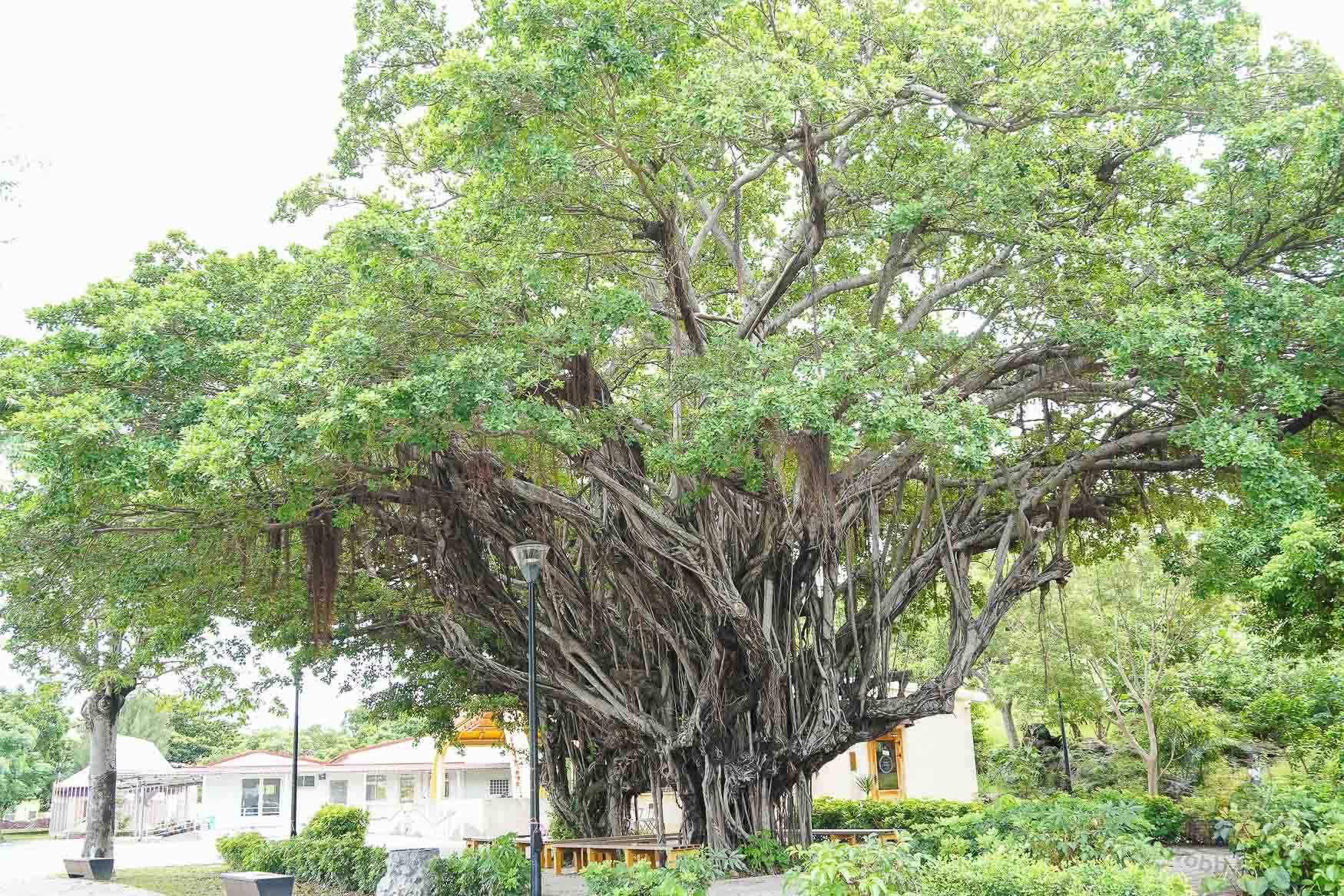 屏東|恆春共融遊戲場》緊鄰恆春古城、月琴主題遊戲場 六腳樹屋 戲水區 攀爬網。 - 第7張圖 屏東|恆春共融遊戲場》緊鄰恆春古城、月琴主題遊戲場 六腳樹屋 戲水區 攀爬網。