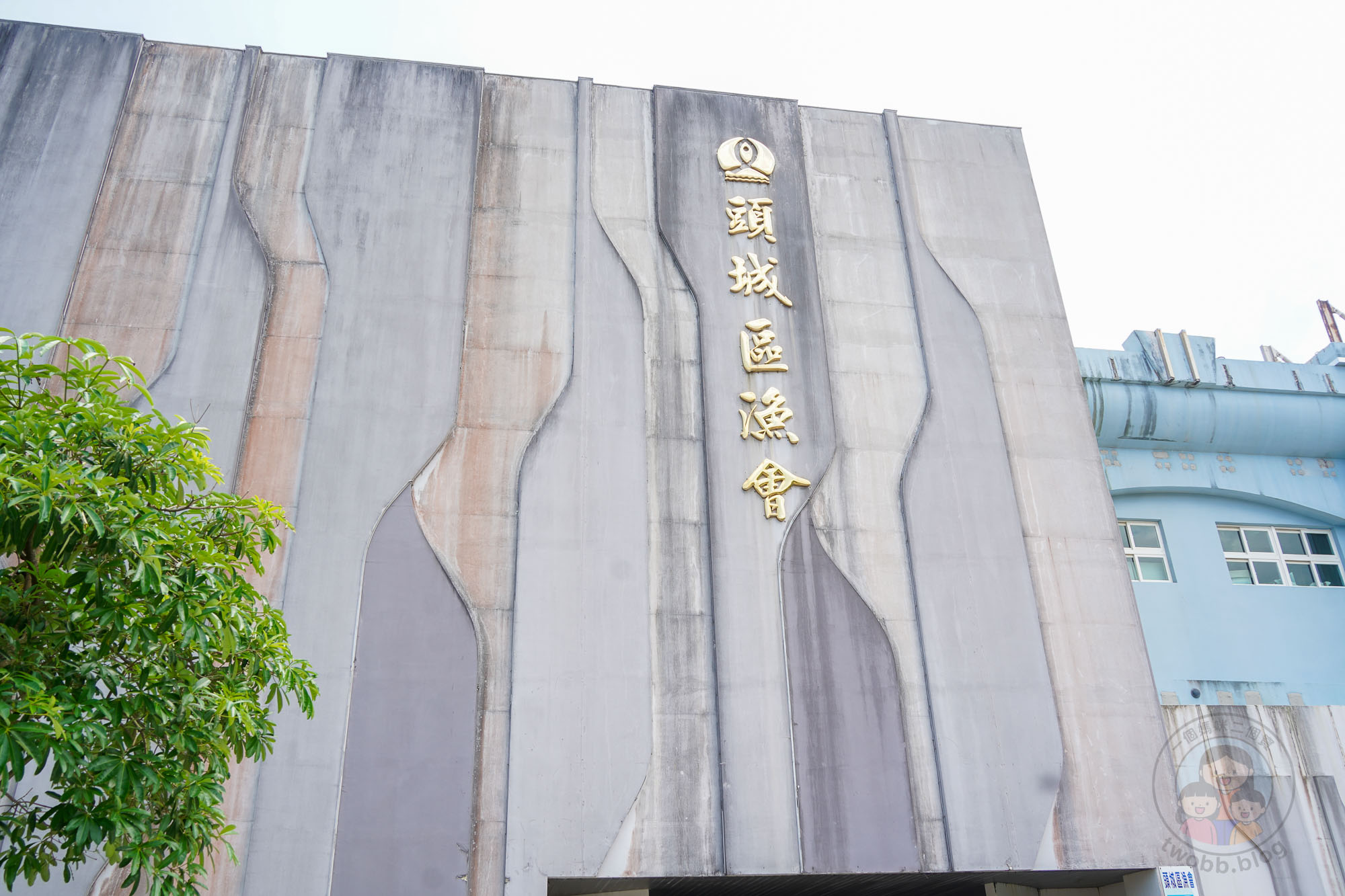 宜蘭賞鯨｜優惠包套行程、360度環繞龜山島、宜蘭龜山島半日遊》近距離欣賞龜山奇景、與海豚共舞