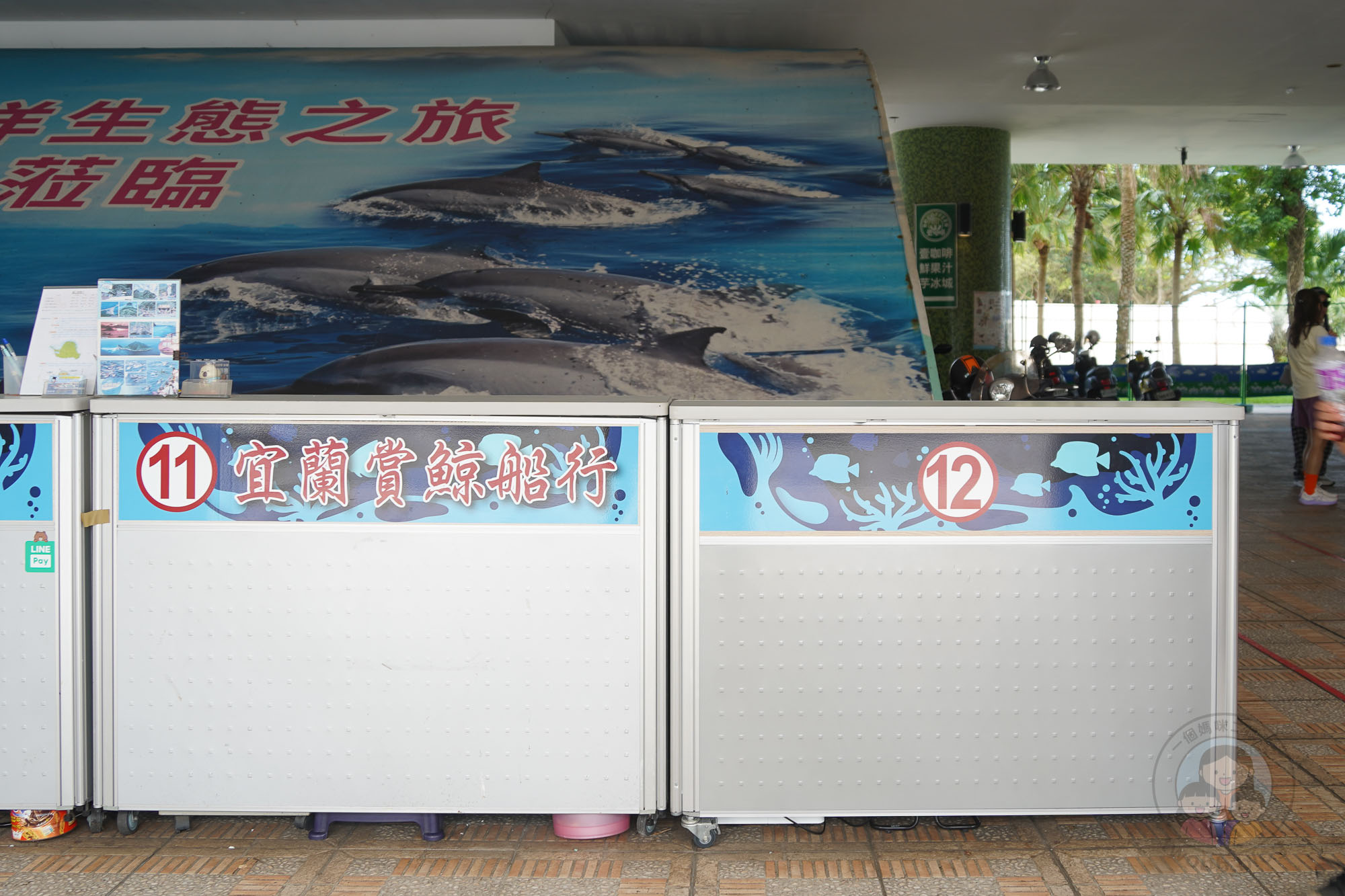 宜蘭賞鯨｜優惠包套行程、360度環繞龜山島、宜蘭龜山島半日遊》近距離欣賞龜山奇景、與海豚共舞