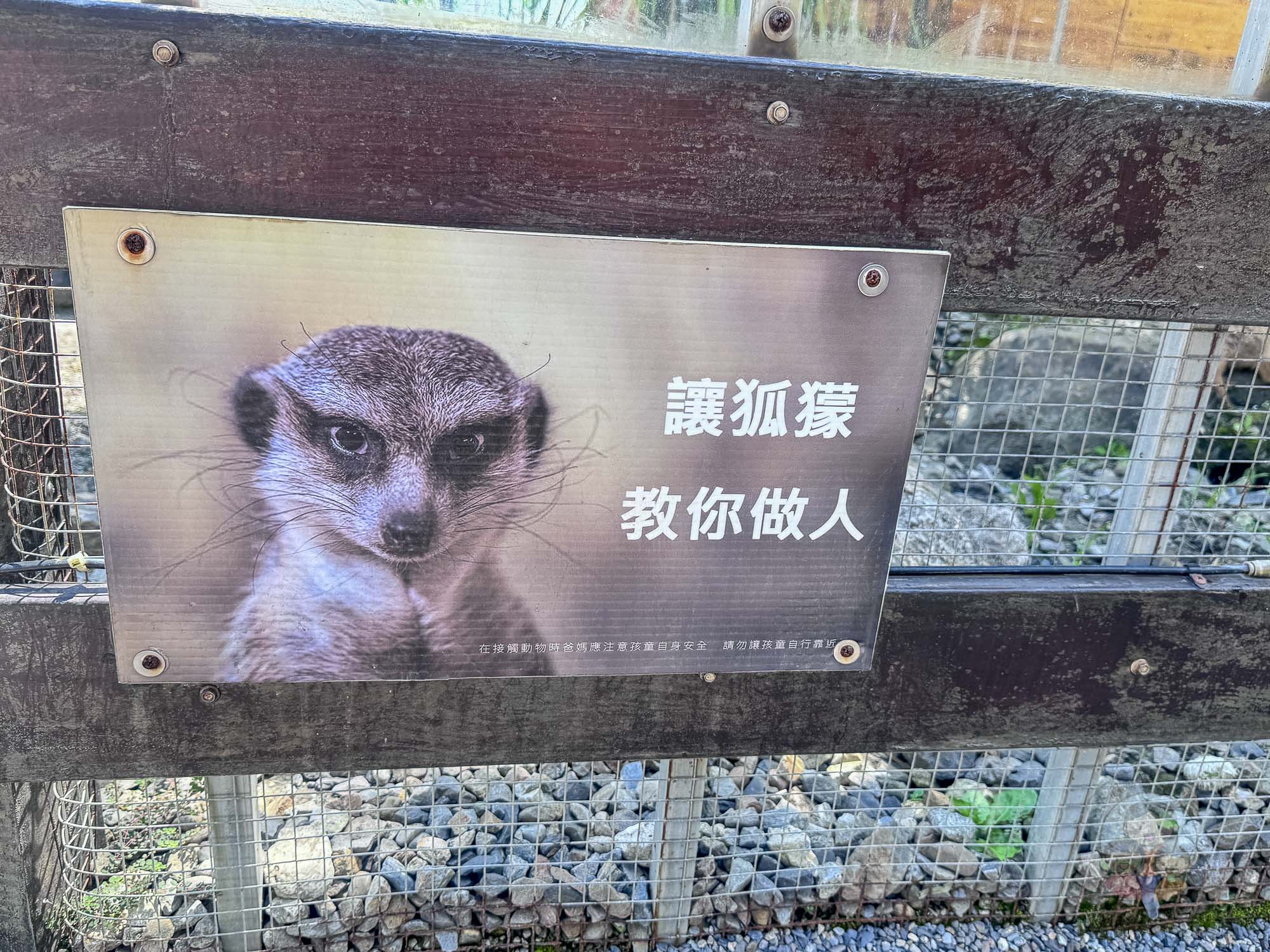 宜蘭｜回巢 Homing》礁溪網美打卡農場，沙漠牛仔風x可愛動物零距離互動。