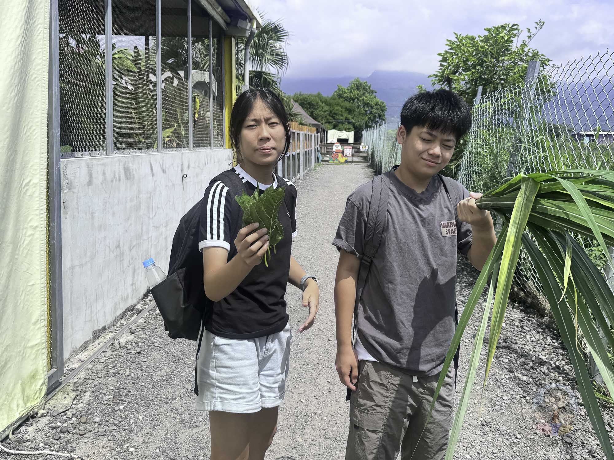 宜蘭｜回巢 Homing》礁溪網美打卡農場，沙漠牛仔風x可愛動物零距離互動。