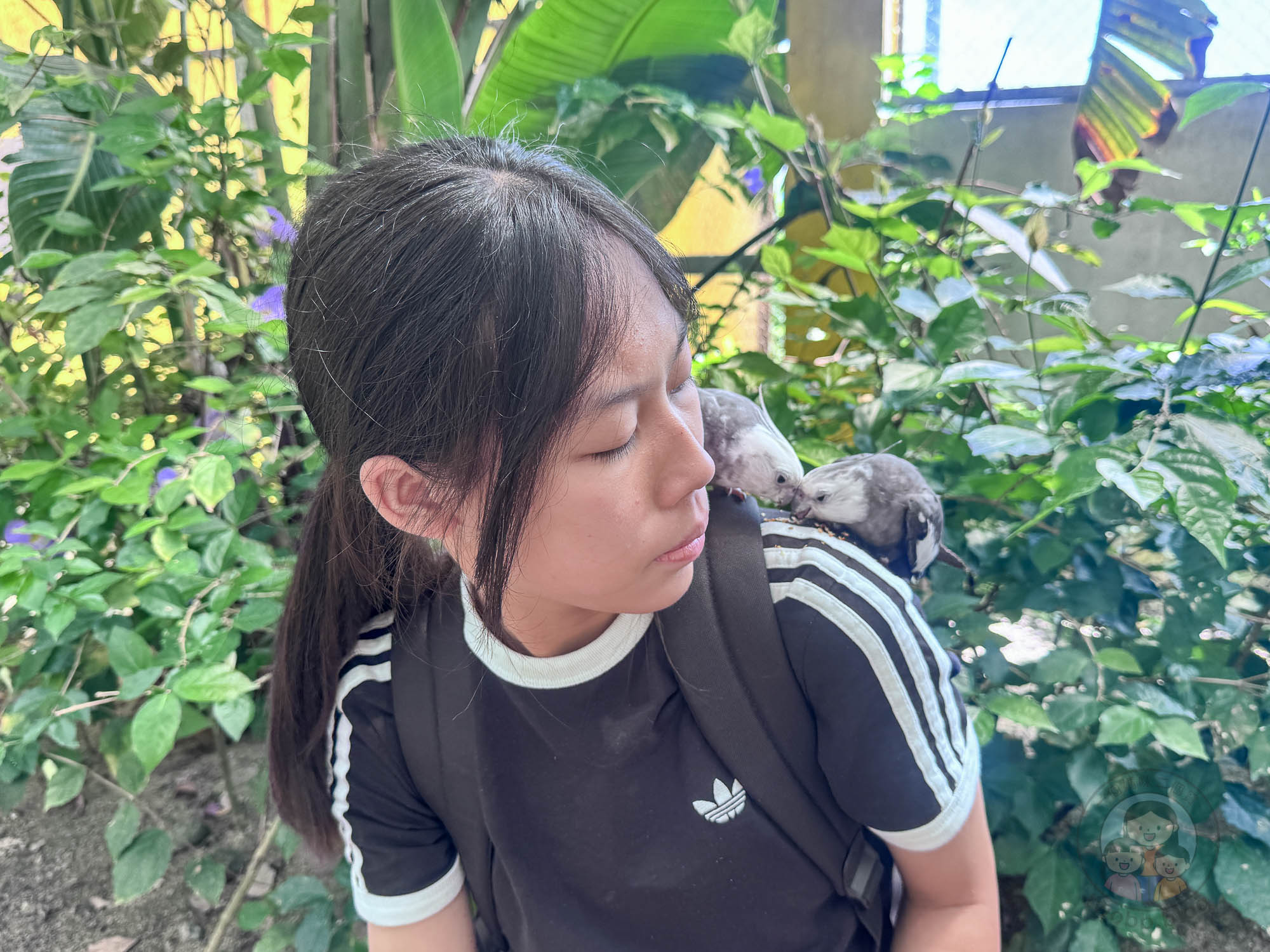 宜蘭｜回巢 Homing》礁溪網美打卡農場，沙漠牛仔風x可愛動物零距離互動。