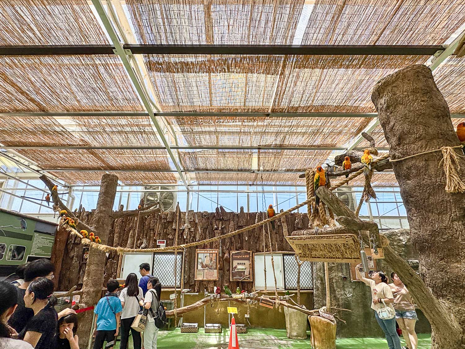 宜蘭|蘭陽動植物王國》宜蘭親子農場,期間限定馴鷹體驗營、三千坪室內外園區、水陸空可愛動物,近距離互動。 - 第48張圖 宜蘭|蘭陽動植物王國》宜蘭親子農場,期間限定馴鷹體驗營、三千坪室內外園區、水陸空可愛動物,近距離互動。