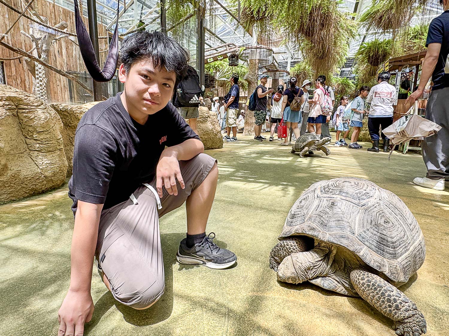 宜蘭|蘭陽動植物王國》宜蘭親子農場,期間限定馴鷹體驗營、三千坪室內外園區、水陸空可愛動物,近距離互動。 - 第72張圖 宜蘭|蘭陽動植物王國》宜蘭親子農場,期間限定馴鷹體驗營、三千坪室內外園區、水陸空可愛動物,近距離互動。