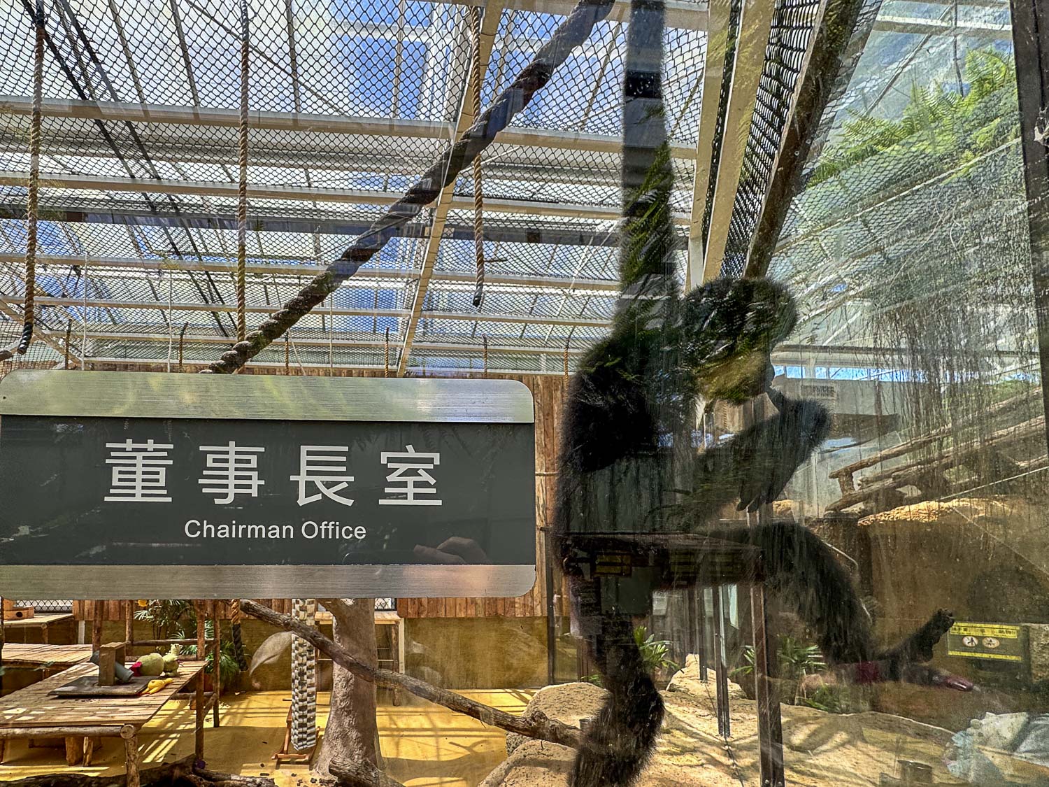 宜蘭|蘭陽動植物王國》宜蘭親子農場,期間限定馴鷹體驗營、三千坪室內外園區、水陸空可愛動物,近距離互動。 - 第79張圖 宜蘭|蘭陽動植物王國》宜蘭親子農場,期間限定馴鷹體驗營、三千坪室內外園區、水陸空可愛動物,近距離互動。
