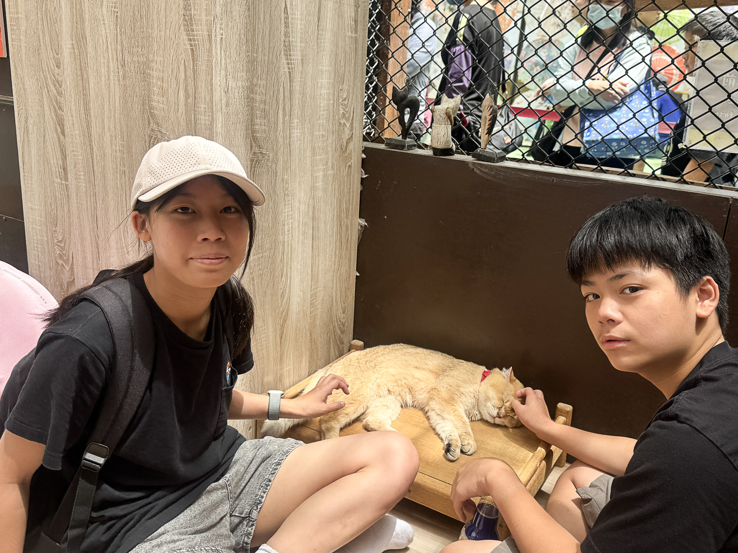 宜蘭|蘭陽動植物王國》宜蘭親子農場,期間限定馴鷹體驗營、三千坪室內外園區、水陸空可愛動物,近距離互動。 - 第37張圖 宜蘭|蘭陽動植物王國》宜蘭親子農場,期間限定馴鷹體驗營、三千坪室內外園區、水陸空可愛動物,近距離互動。
