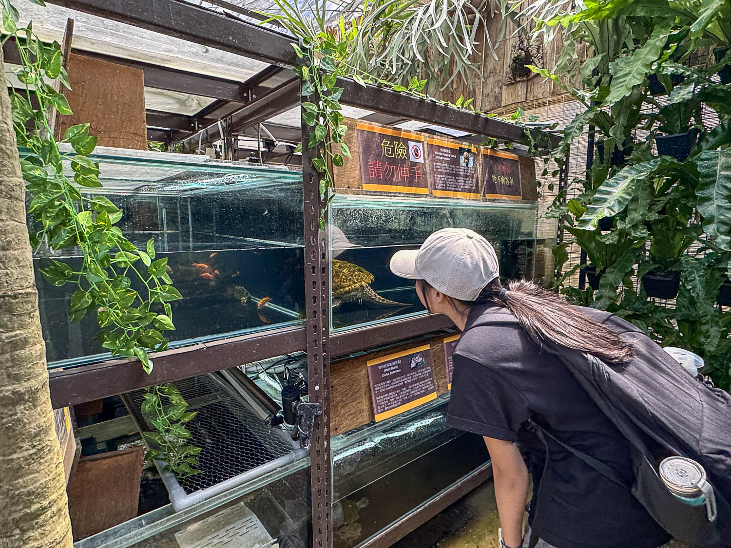 宜蘭|蘭陽動植物王國》宜蘭親子農場,期間限定馴鷹體驗營、三千坪室內外園區、水陸空可愛動物,近距離互動。 - 第83張圖 宜蘭|蘭陽動植物王國》宜蘭親子農場,期間限定馴鷹體驗營、三千坪室內外園區、水陸空可愛動物,近距離互動。