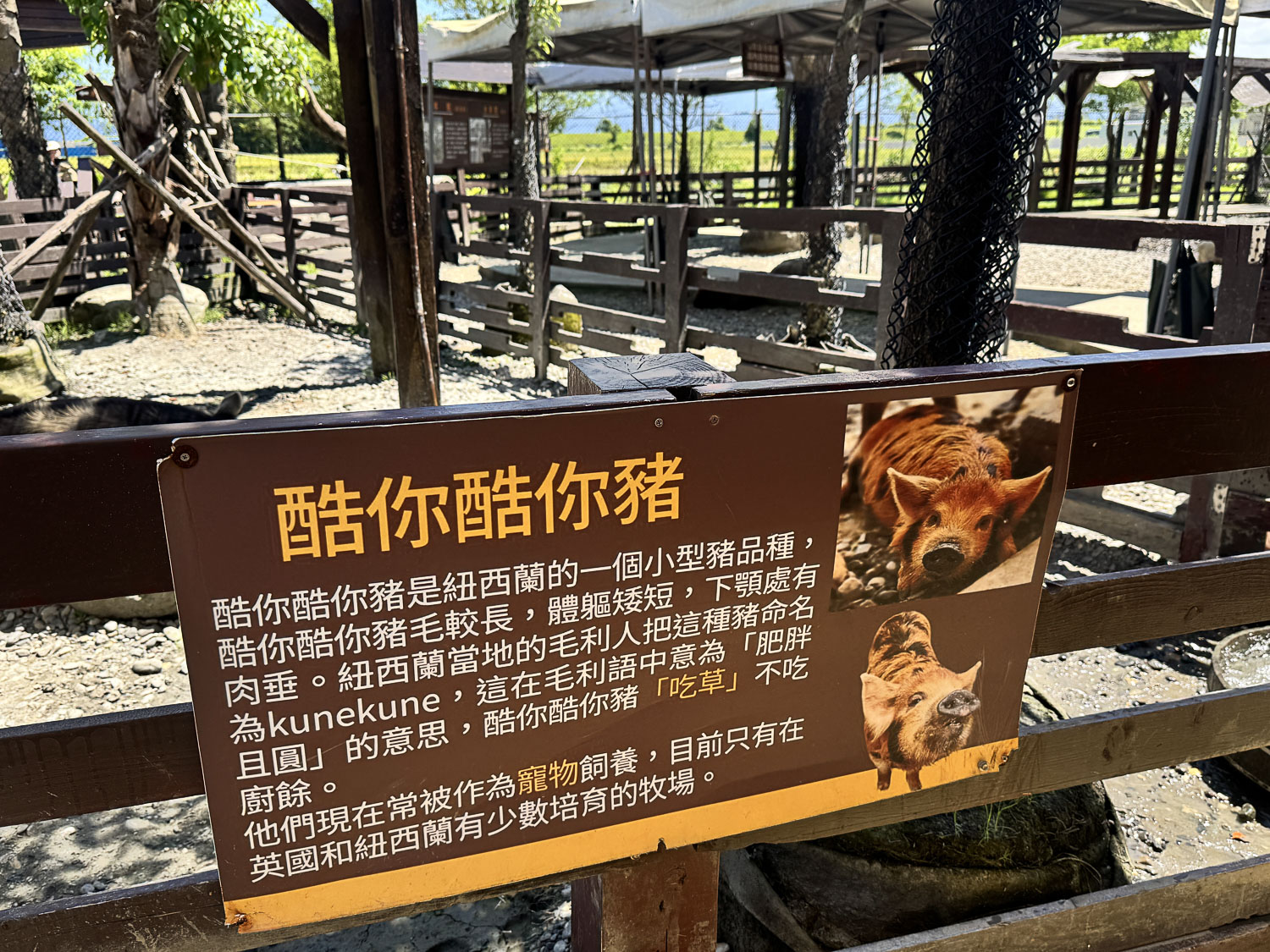 宜蘭|蘭陽動植物王國》宜蘭親子農場,期間限定馴鷹體驗營、三千坪室內外園區、水陸空可愛動物,近距離互動。 - 第98張圖 宜蘭|蘭陽動植物王國》宜蘭親子農場,期間限定馴鷹體驗營、三千坪室內外園區、水陸空可愛動物,近距離互動。