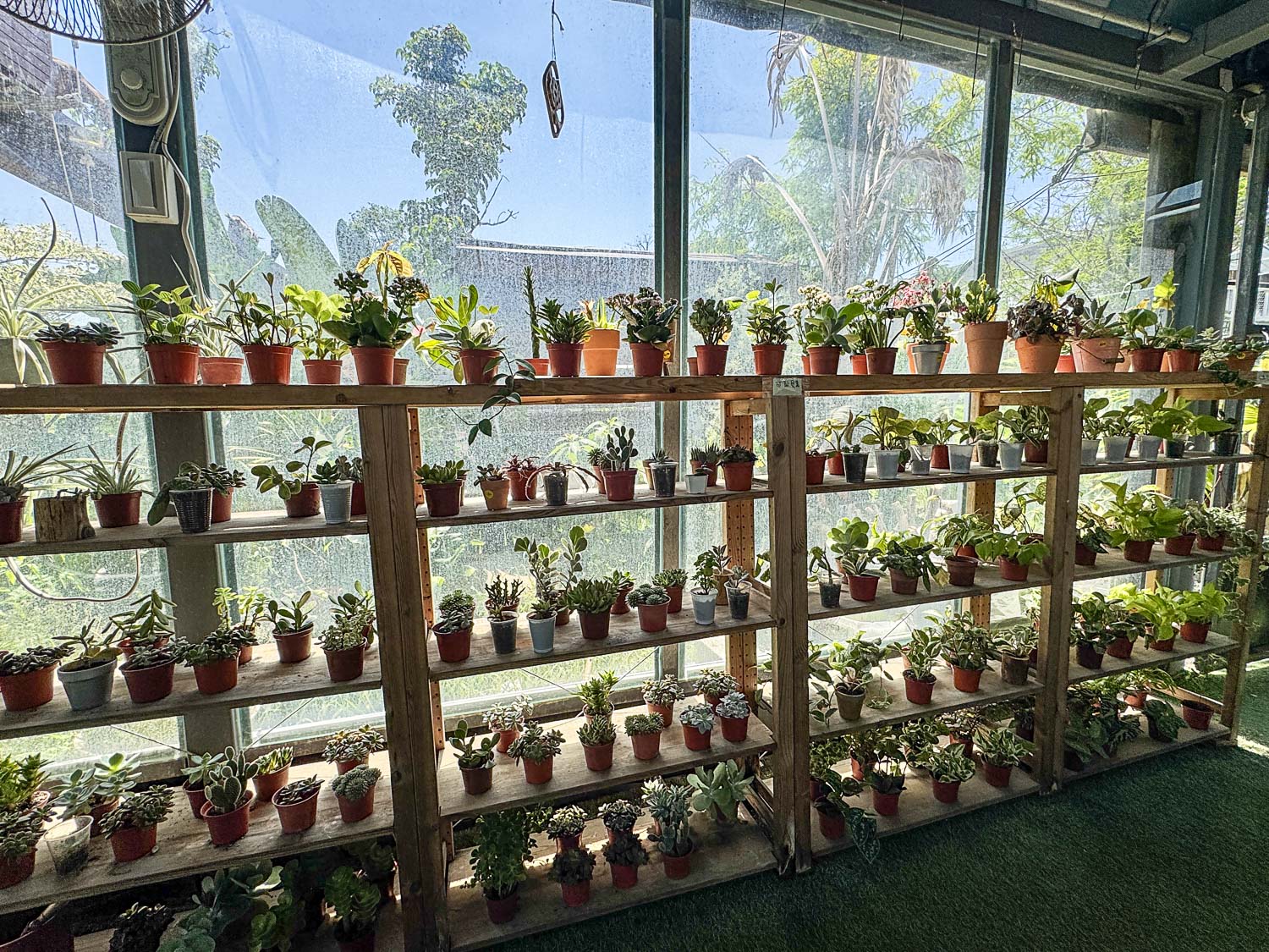 宜蘭|蘭陽動植物王國》宜蘭親子農場,期間限定馴鷹體驗營、三千坪室內外園區、水陸空可愛動物,近距離互動。 - 第105張圖 宜蘭|蘭陽動植物王國》宜蘭親子農場,期間限定馴鷹體驗營、三千坪室內外園區、水陸空可愛動物,近距離互動。
