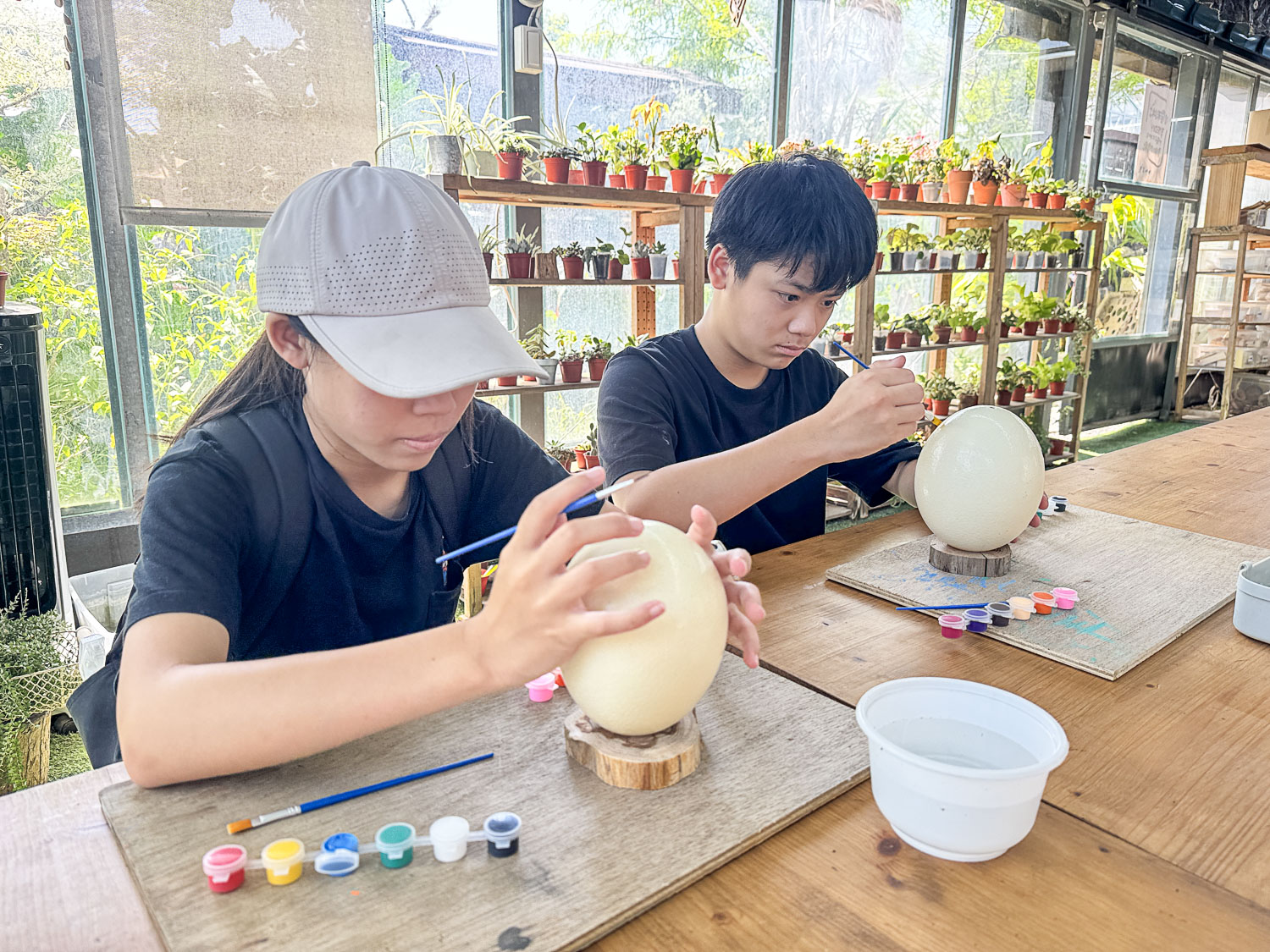 宜蘭|蘭陽動植物王國》宜蘭親子農場,期間限定馴鷹體驗營、三千坪室內外園區、水陸空可愛動物,近距離互動。 - 第7張圖 宜蘭|蘭陽動植物王國》宜蘭親子農場,期間限定馴鷹體驗營、三千坪室內外園區、水陸空可愛動物,近距離互動。