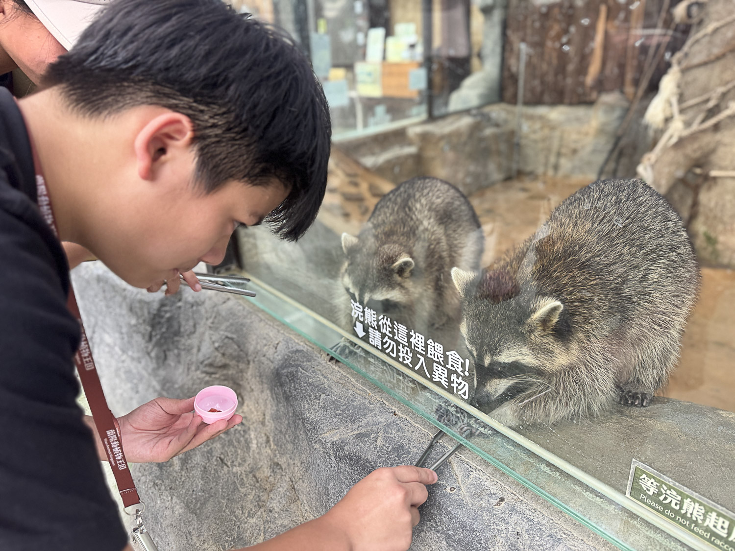 宜蘭|蘭陽動植物王國》宜蘭親子農場,期間限定馴鷹體驗營、三千坪室內外園區、水陸空可愛動物,近距離互動。 - 第58張圖 宜蘭|蘭陽動植物王國》宜蘭親子農場,期間限定馴鷹體驗營、三千坪室內外園區、水陸空可愛動物,近距離互動。