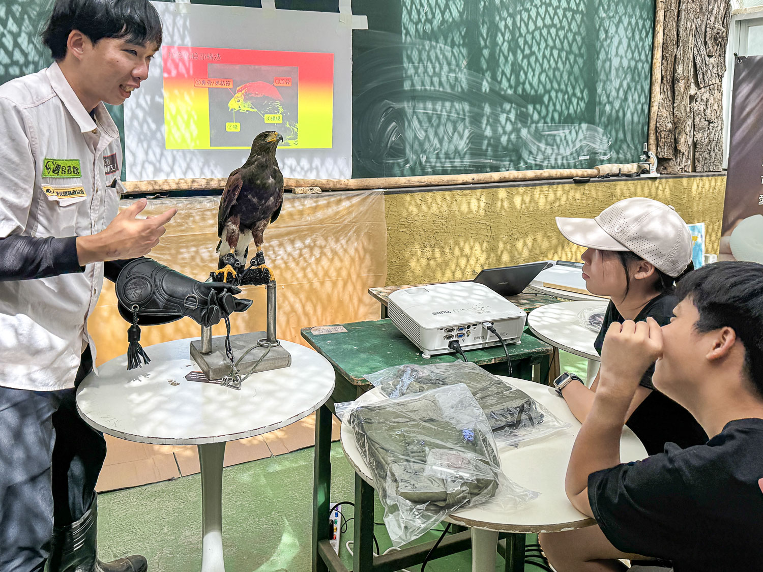 宜蘭|蘭陽動植物王國》宜蘭親子農場,期間限定馴鷹體驗營、三千坪室內外園區、水陸空可愛動物,近距離互動。 - 第10張圖 宜蘭|蘭陽動植物王國》宜蘭親子農場,期間限定馴鷹體驗營、三千坪室內外園區、水陸空可愛動物,近距離互動。