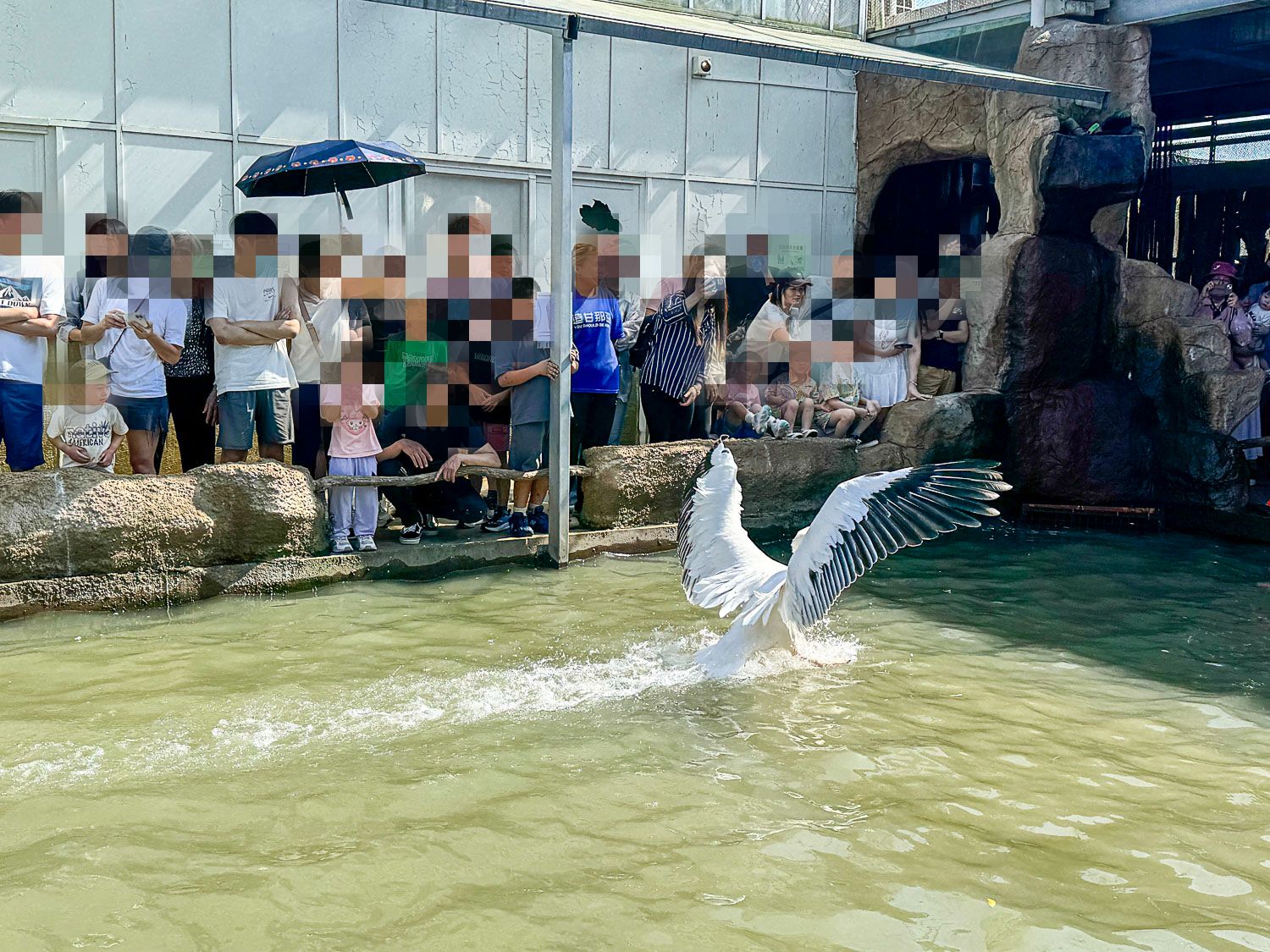 宜蘭|蘭陽動植物王國》宜蘭親子農場,期間限定馴鷹體驗營、三千坪室內外園區、水陸空可愛動物,近距離互動。 - 第64張圖 宜蘭|蘭陽動植物王國》宜蘭親子農場,期間限定馴鷹體驗營、三千坪室內外園區、水陸空可愛動物,近距離互動。