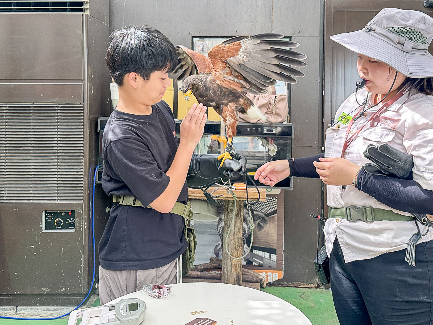 宜蘭|蘭陽動植物王國》宜蘭親子農場,期間限定馴鷹體驗營、三千坪室內外園區、水陸空可愛動物,近距離互動。 - 第15張圖 宜蘭|蘭陽動植物王國》宜蘭親子農場,期間限定馴鷹體驗營、三千坪室內外園區、水陸空可愛動物,近距離互動。