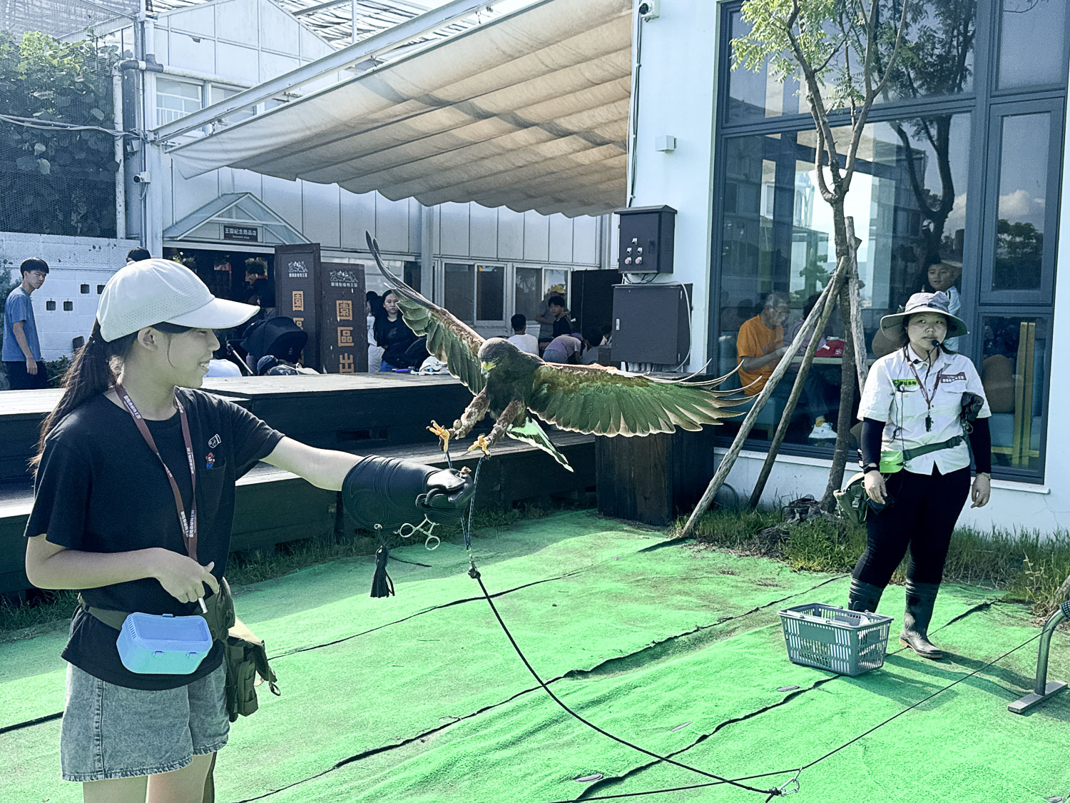 宜蘭|蘭陽動植物王國》宜蘭親子農場,期間限定馴鷹體驗營、三千坪室內外園區、水陸空可愛動物,近距離互動。 - 第23張圖 宜蘭|蘭陽動植物王國》宜蘭親子農場,期間限定馴鷹體驗營、三千坪室內外園區、水陸空可愛動物,近距離互動。