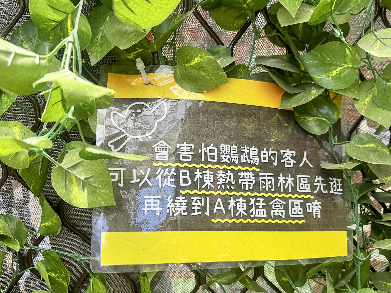 宜蘭|蘭陽動植物王國》宜蘭親子農場,期間限定馴鷹體驗營、三千坪室內外園區、水陸空可愛動物,近距離互動。 - 第53張圖 宜蘭|蘭陽動植物王國》宜蘭親子農場,期間限定馴鷹體驗營、三千坪室內外園區、水陸空可愛動物,近距離互動。