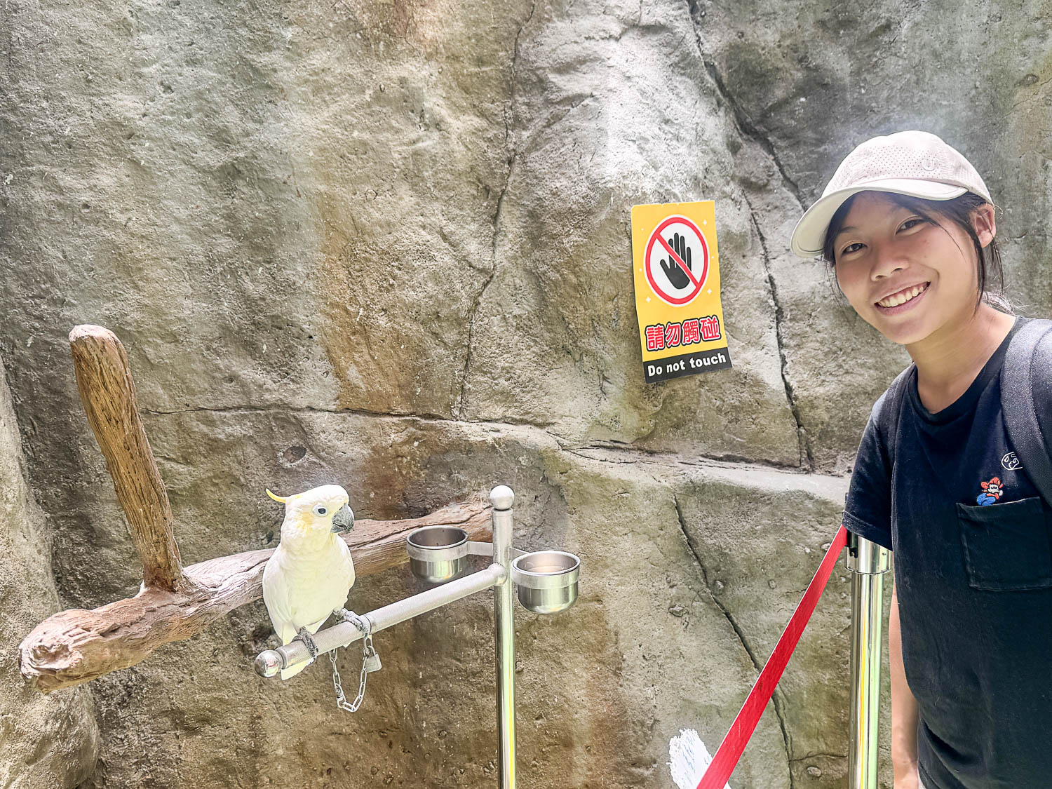 宜蘭|蘭陽動植物王國》宜蘭親子農場,期間限定馴鷹體驗營、三千坪室內外園區、水陸空可愛動物,近距離互動。 - 第51張圖 宜蘭|蘭陽動植物王國》宜蘭親子農場,期間限定馴鷹體驗營、三千坪室內外園區、水陸空可愛動物,近距離互動。