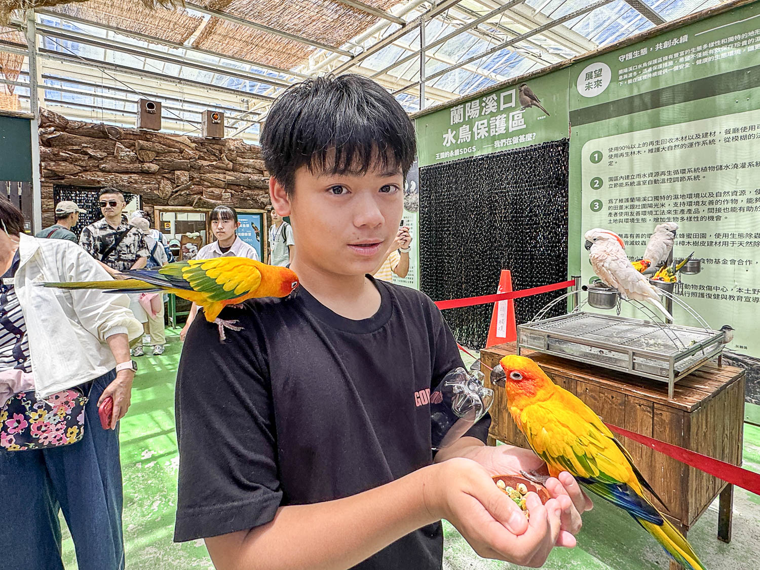 宜蘭|蘭陽動植物王國》宜蘭親子農場,期間限定馴鷹體驗營、三千坪室內外園區、水陸空可愛動物,近距離互動。 - 第47張圖 宜蘭|蘭陽動植物王國》宜蘭親子農場,期間限定馴鷹體驗營、三千坪室內外園區、水陸空可愛動物,近距離互動。