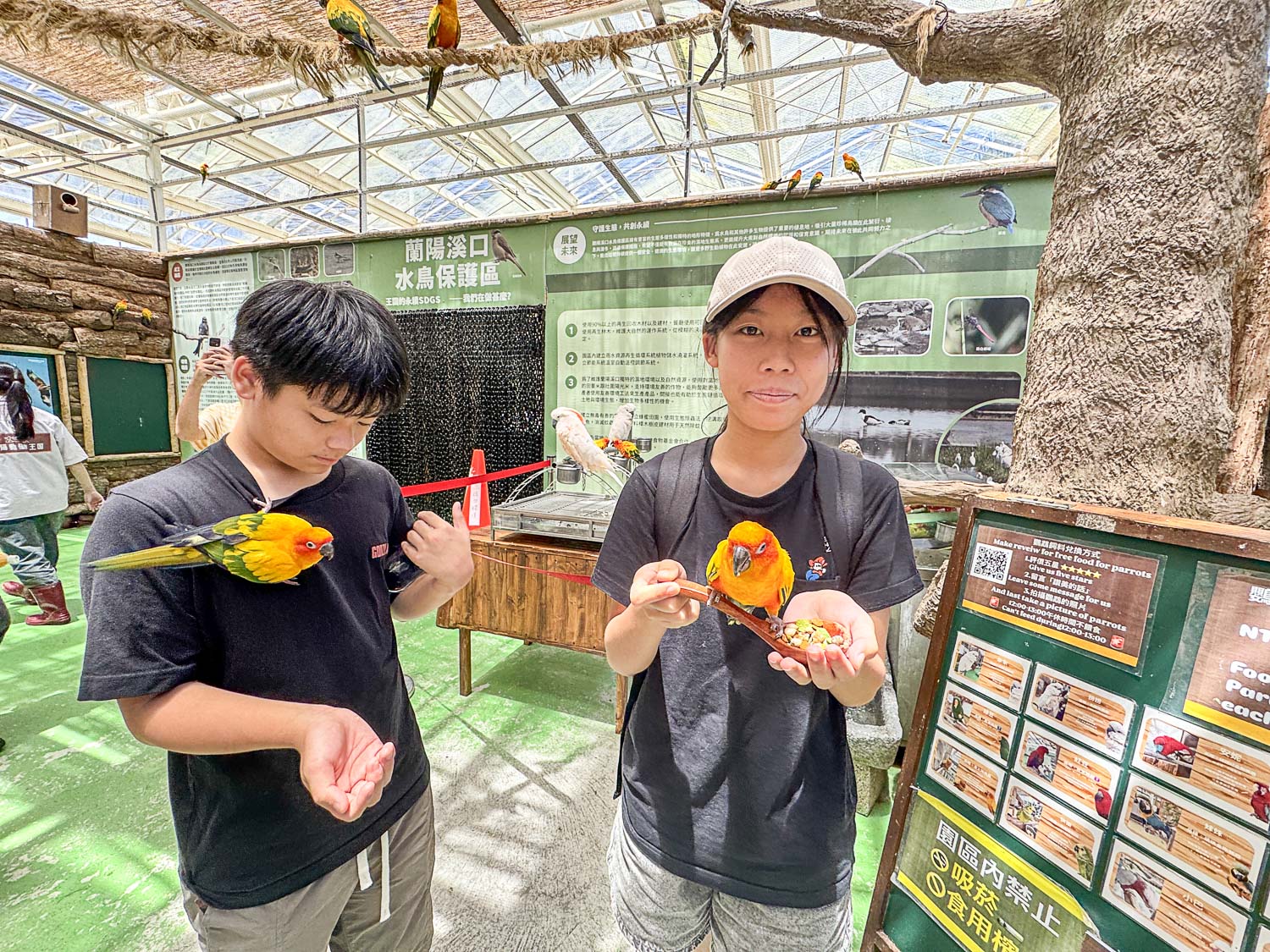 宜蘭|蘭陽動植物王國》宜蘭親子農場,期間限定馴鷹體驗營、三千坪室內外園區、水陸空可愛動物,近距離互動。 - 第46張圖 宜蘭|蘭陽動植物王國》宜蘭親子農場,期間限定馴鷹體驗營、三千坪室內外園區、水陸空可愛動物,近距離互動。