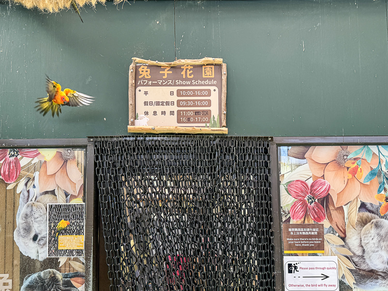 宜蘭|蘭陽動植物王國》宜蘭親子農場,期間限定馴鷹體驗營、三千坪室內外園區、水陸空可愛動物,近距離互動。 - 第41張圖 宜蘭|蘭陽動植物王國》宜蘭親子農場,期間限定馴鷹體驗營、三千坪室內外園區、水陸空可愛動物,近距離互動。