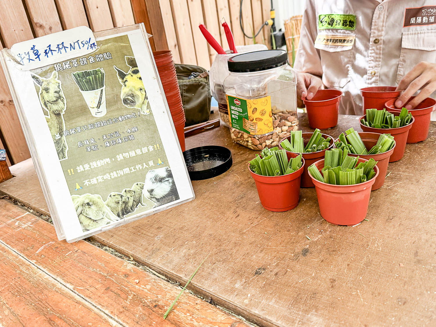 宜蘭|蘭陽動植物王國》宜蘭親子農場,期間限定馴鷹體驗營、三千坪室內外園區、水陸空可愛動物,近距離互動。 - 第43張圖 宜蘭|蘭陽動植物王國》宜蘭親子農場,期間限定馴鷹體驗營、三千坪室內外園區、水陸空可愛動物,近距離互動。
