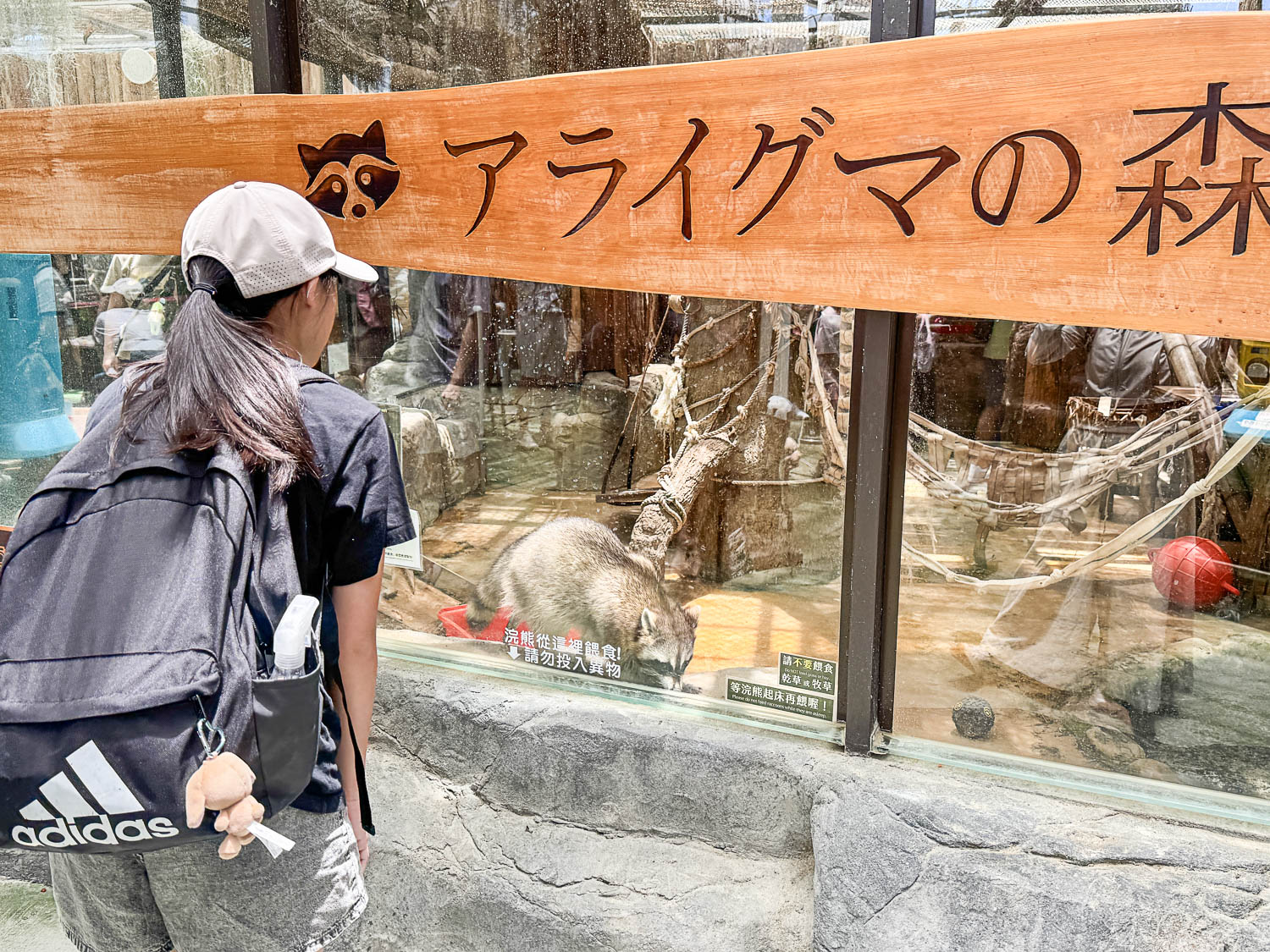 宜蘭|蘭陽動植物王國》宜蘭親子農場,期間限定馴鷹體驗營、三千坪室內外園區、水陸空可愛動物,近距離互動。 - 第57張圖 宜蘭|蘭陽動植物王國》宜蘭親子農場,期間限定馴鷹體驗營、三千坪室內外園區、水陸空可愛動物,近距離互動。
