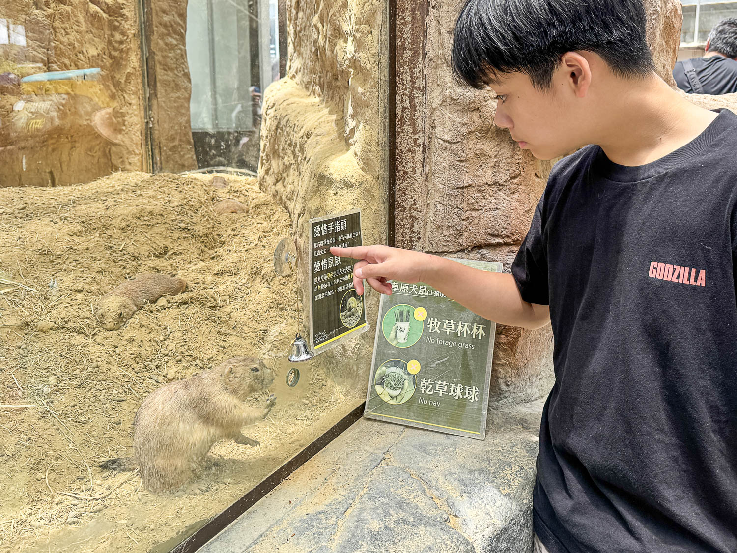 宜蘭|蘭陽動植物王國》宜蘭親子農場,期間限定馴鷹體驗營、三千坪室內外園區、水陸空可愛動物,近距離互動。 - 第59張圖 宜蘭|蘭陽動植物王國》宜蘭親子農場,期間限定馴鷹體驗營、三千坪室內外園區、水陸空可愛動物,近距離互動。