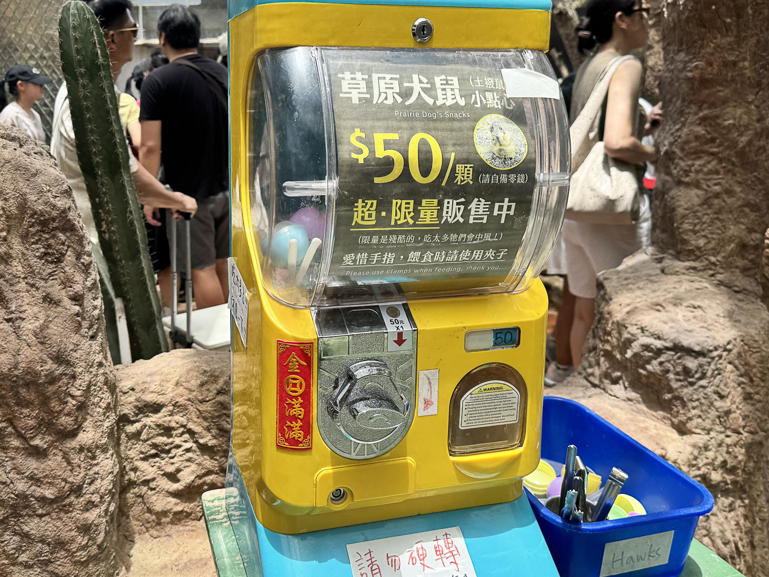 宜蘭|蘭陽動植物王國》宜蘭親子農場,期間限定馴鷹體驗營、三千坪室內外園區、水陸空可愛動物,近距離互動。 - 第60張圖 宜蘭|蘭陽動植物王國》宜蘭親子農場,期間限定馴鷹體驗營、三千坪室內外園區、水陸空可愛動物,近距離互動。