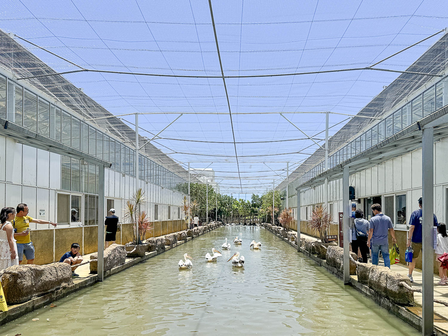宜蘭|蘭陽動植物王國》宜蘭親子農場,期間限定馴鷹體驗營、三千坪室內外園區、水陸空可愛動物,近距離互動。 - 第62張圖 宜蘭|蘭陽動植物王國》宜蘭親子農場,期間限定馴鷹體驗營、三千坪室內外園區、水陸空可愛動物,近距離互動。