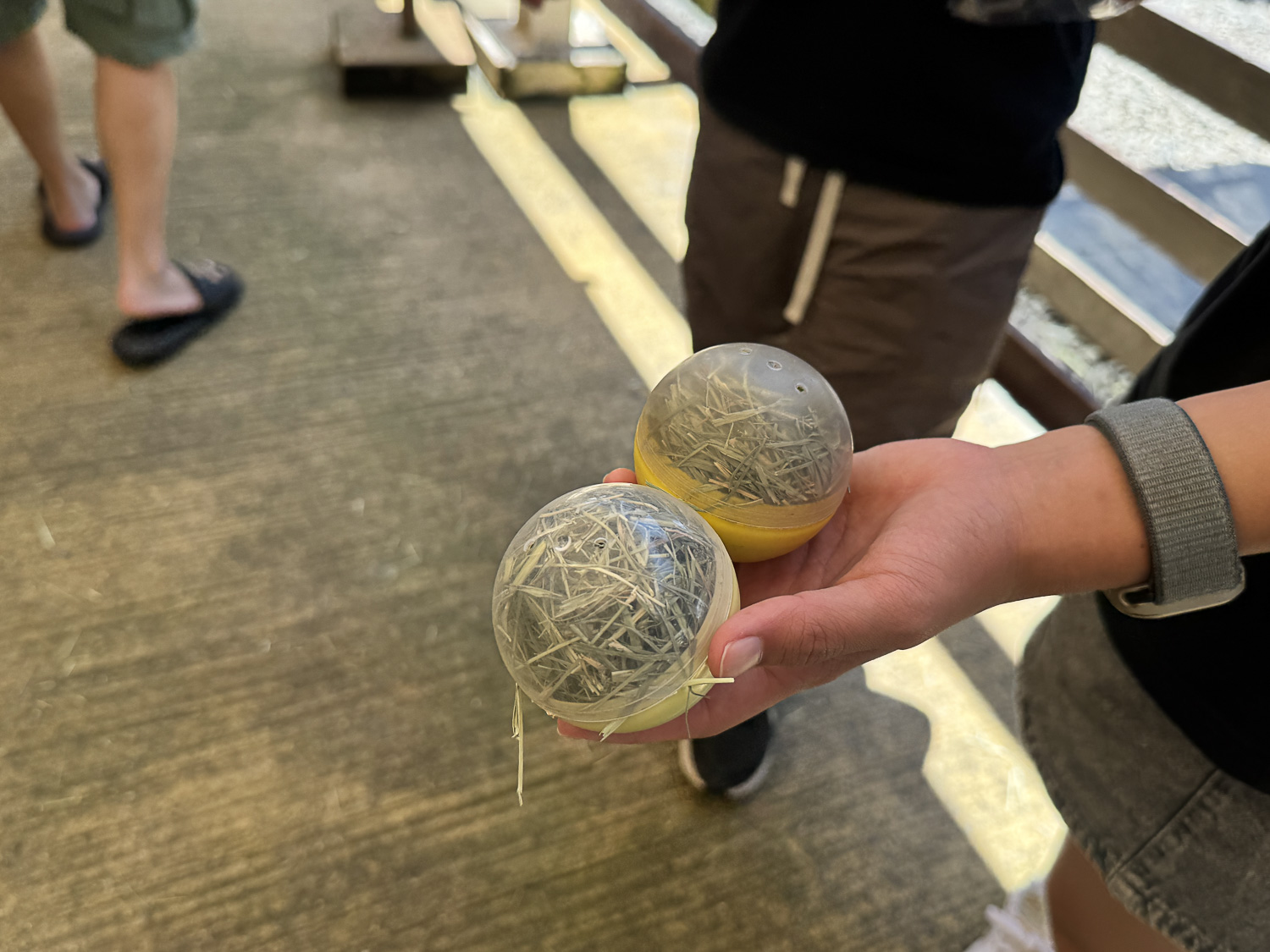 宜蘭|蘭陽動植物王國》宜蘭親子農場,期間限定馴鷹體驗營、三千坪室內外園區、水陸空可愛動物,近距離互動。 - 第88張圖 宜蘭|蘭陽動植物王國》宜蘭親子農場,期間限定馴鷹體驗營、三千坪室內外園區、水陸空可愛動物,近距離互動。