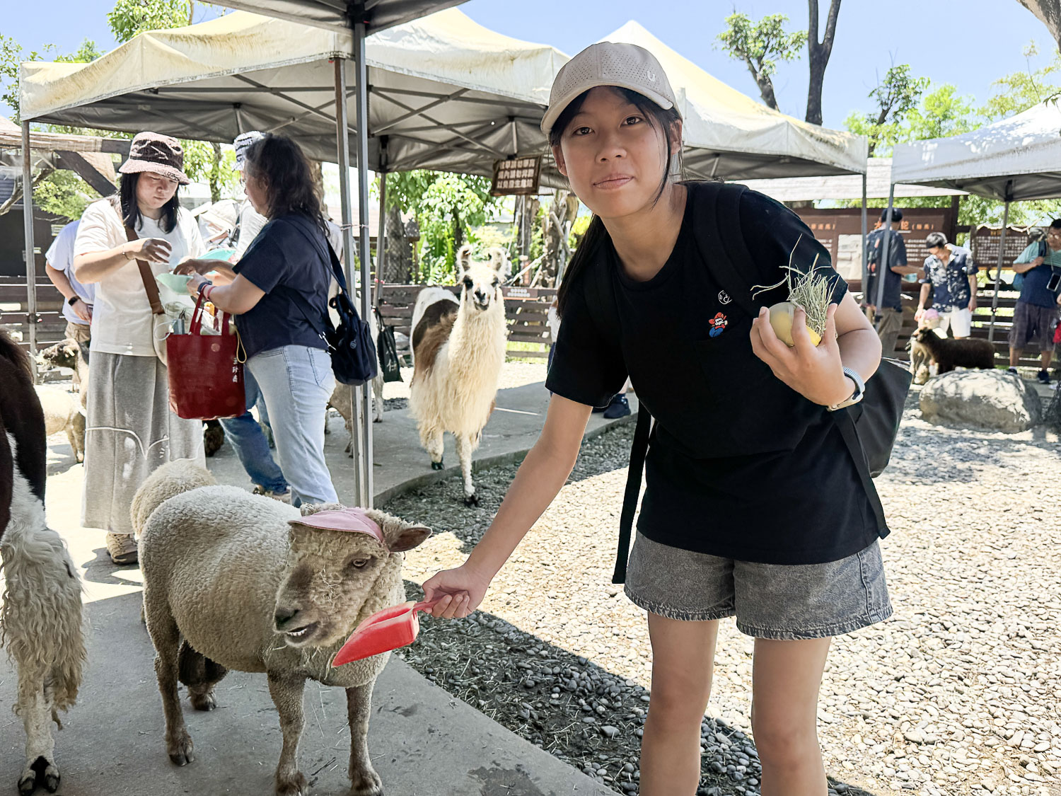 宜蘭|蘭陽動植物王國》宜蘭親子農場,期間限定馴鷹體驗營、三千坪室內外園區、水陸空可愛動物,近距離互動。 - 第93張圖 宜蘭|蘭陽動植物王國》宜蘭親子農場,期間限定馴鷹體驗營、三千坪室內外園區、水陸空可愛動物,近距離互動。