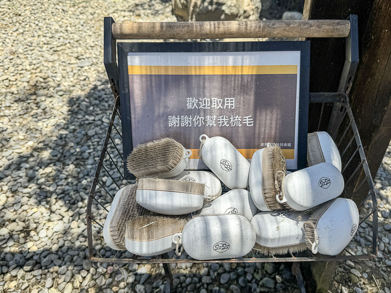 宜蘭|蘭陽動植物王國》宜蘭親子農場,期間限定馴鷹體驗營、三千坪室內外園區、水陸空可愛動物,近距離互動。 - 第95張圖 宜蘭|蘭陽動植物王國》宜蘭親子農場,期間限定馴鷹體驗營、三千坪室內外園區、水陸空可愛動物,近距離互動。