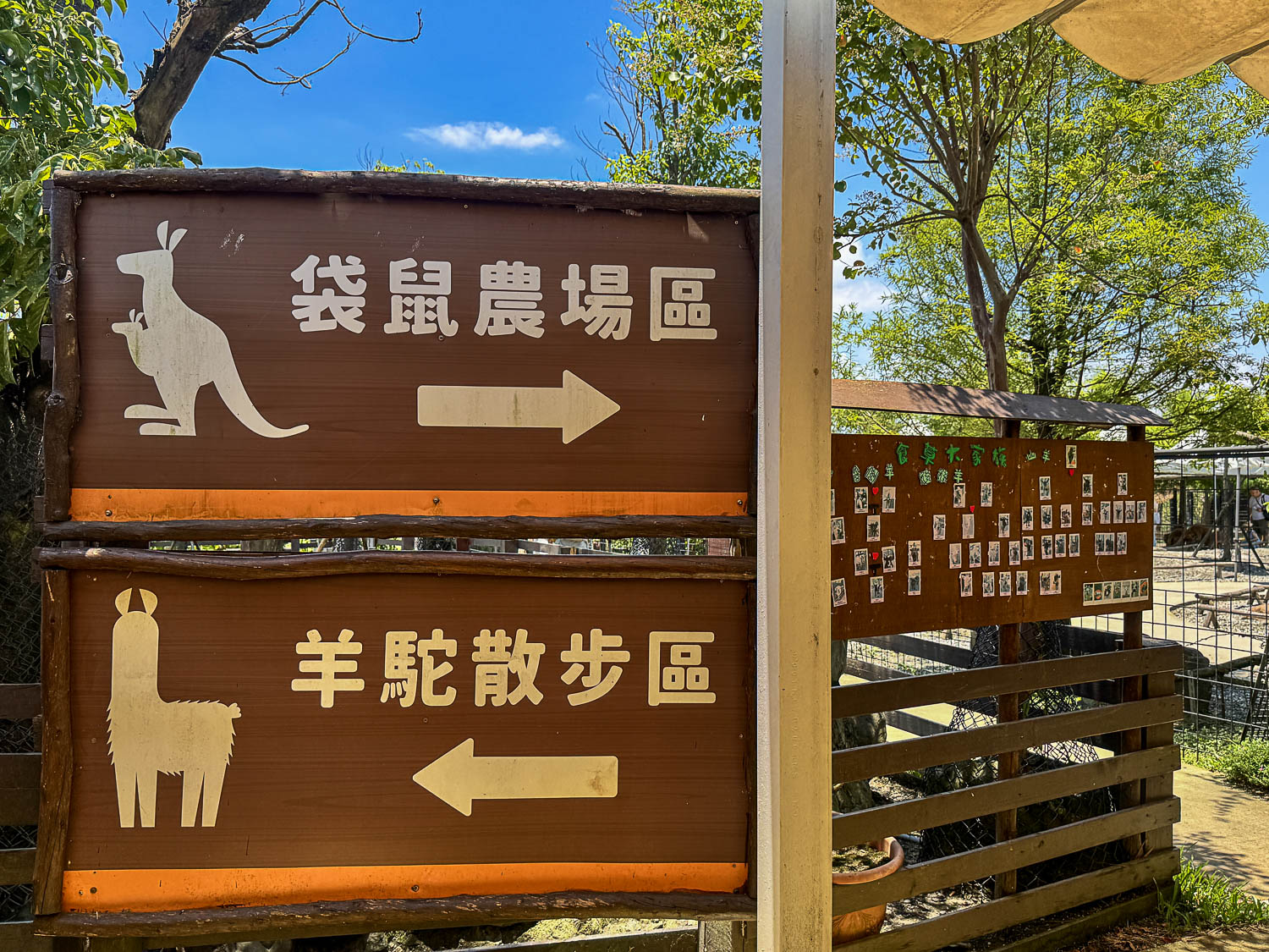 宜蘭|蘭陽動植物王國》宜蘭親子農場,期間限定馴鷹體驗營、三千坪室內外園區、水陸空可愛動物,近距離互動。 - 第84張圖 宜蘭|蘭陽動植物王國》宜蘭親子農場,期間限定馴鷹體驗營、三千坪室內外園區、水陸空可愛動物,近距離互動。