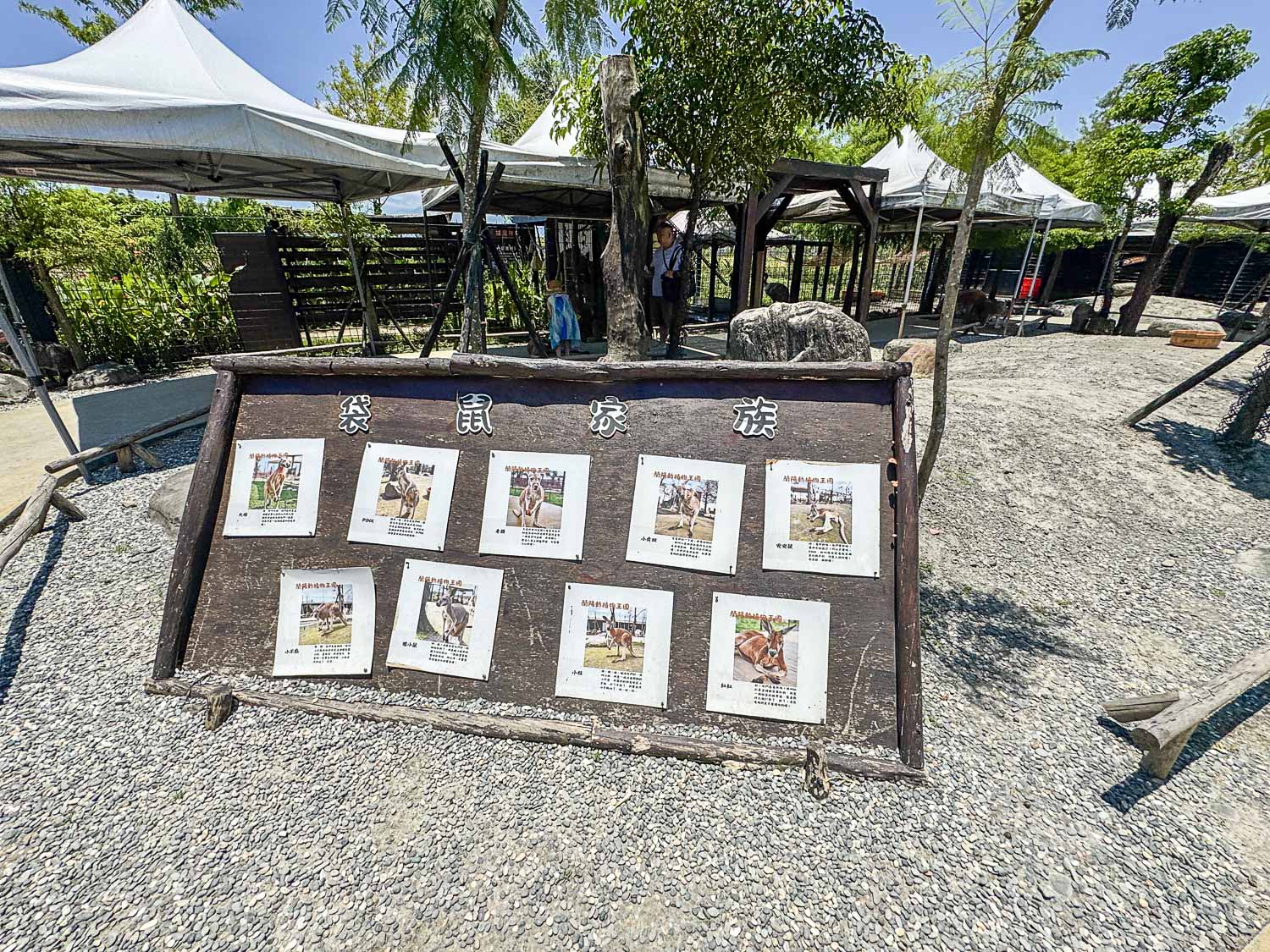 宜蘭|蘭陽動植物王國》宜蘭親子農場,期間限定馴鷹體驗營、三千坪室內外園區、水陸空可愛動物,近距離互動。 - 第87張圖 宜蘭|蘭陽動植物王國》宜蘭親子農場,期間限定馴鷹體驗營、三千坪室內外園區、水陸空可愛動物,近距離互動。
