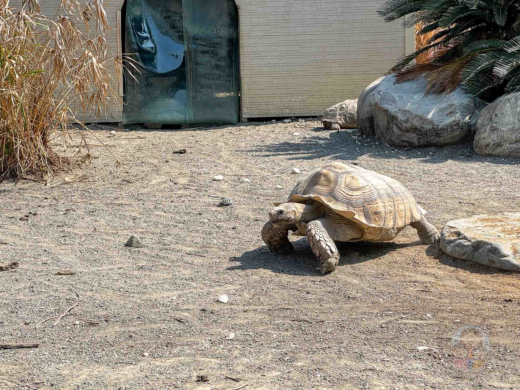 台南頑皮世界野生動物園
