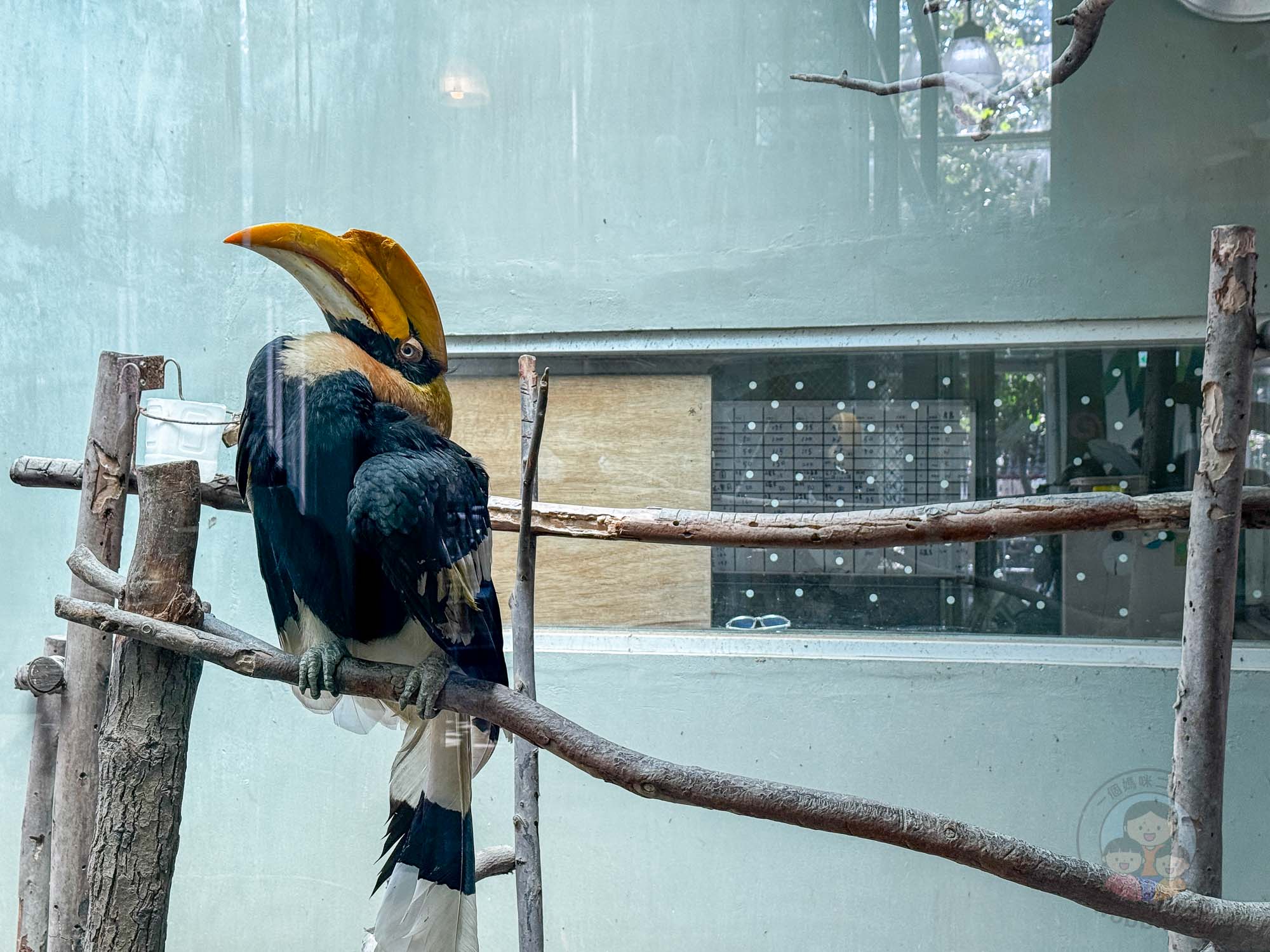 台南頑皮世界野生動物園