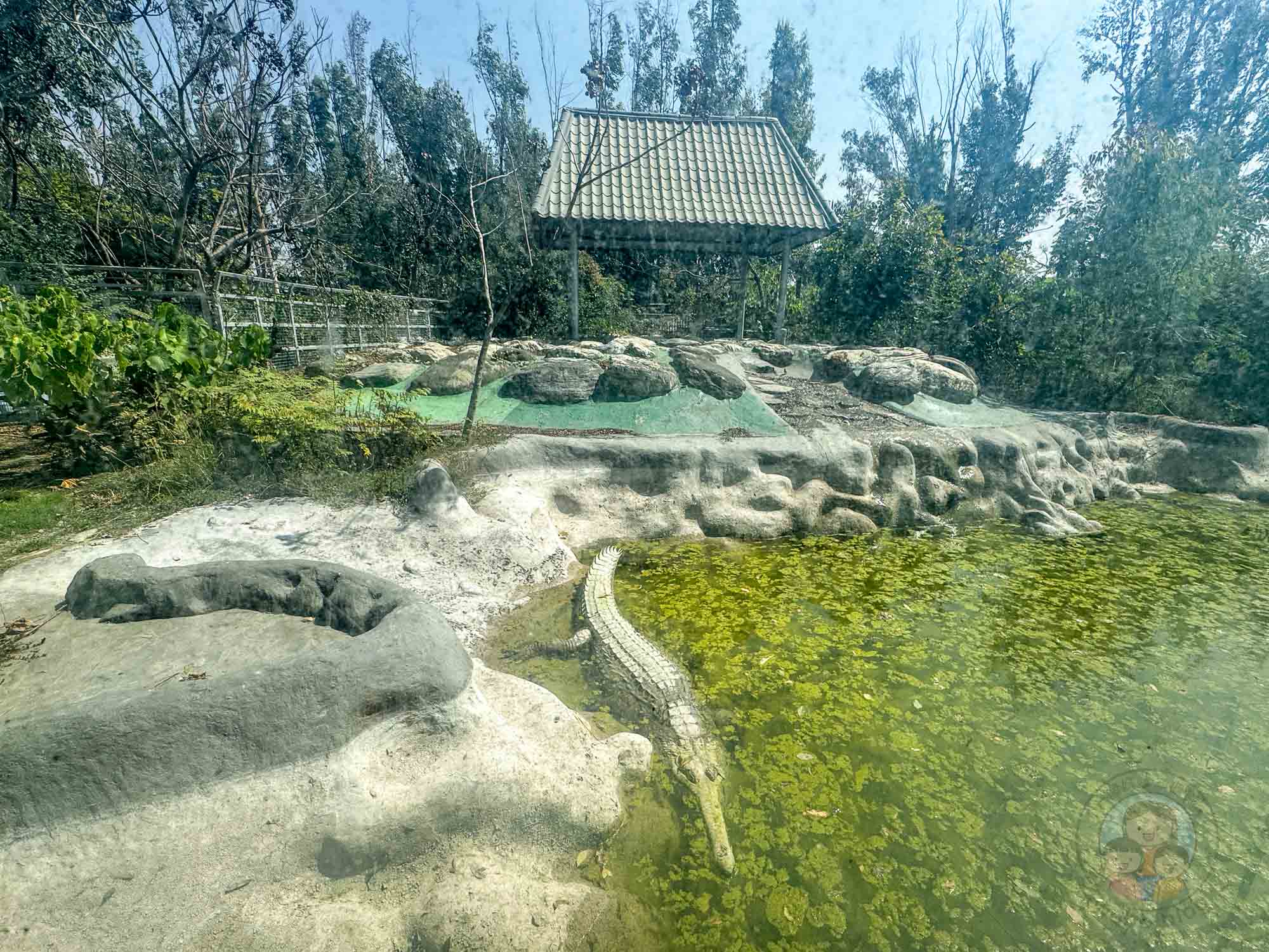 台南頑皮世界野生動物園