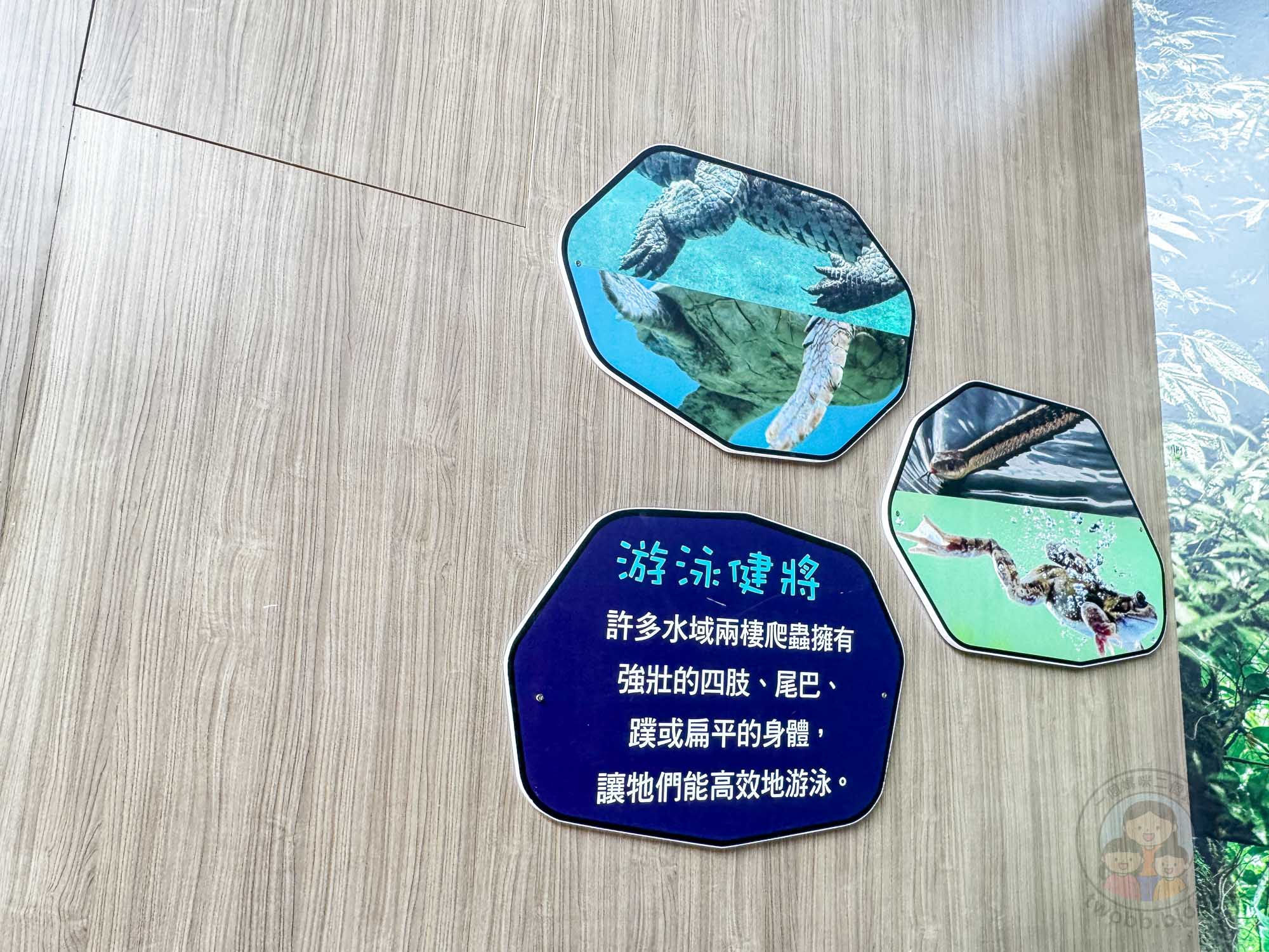 台南頑皮世界野生動物園