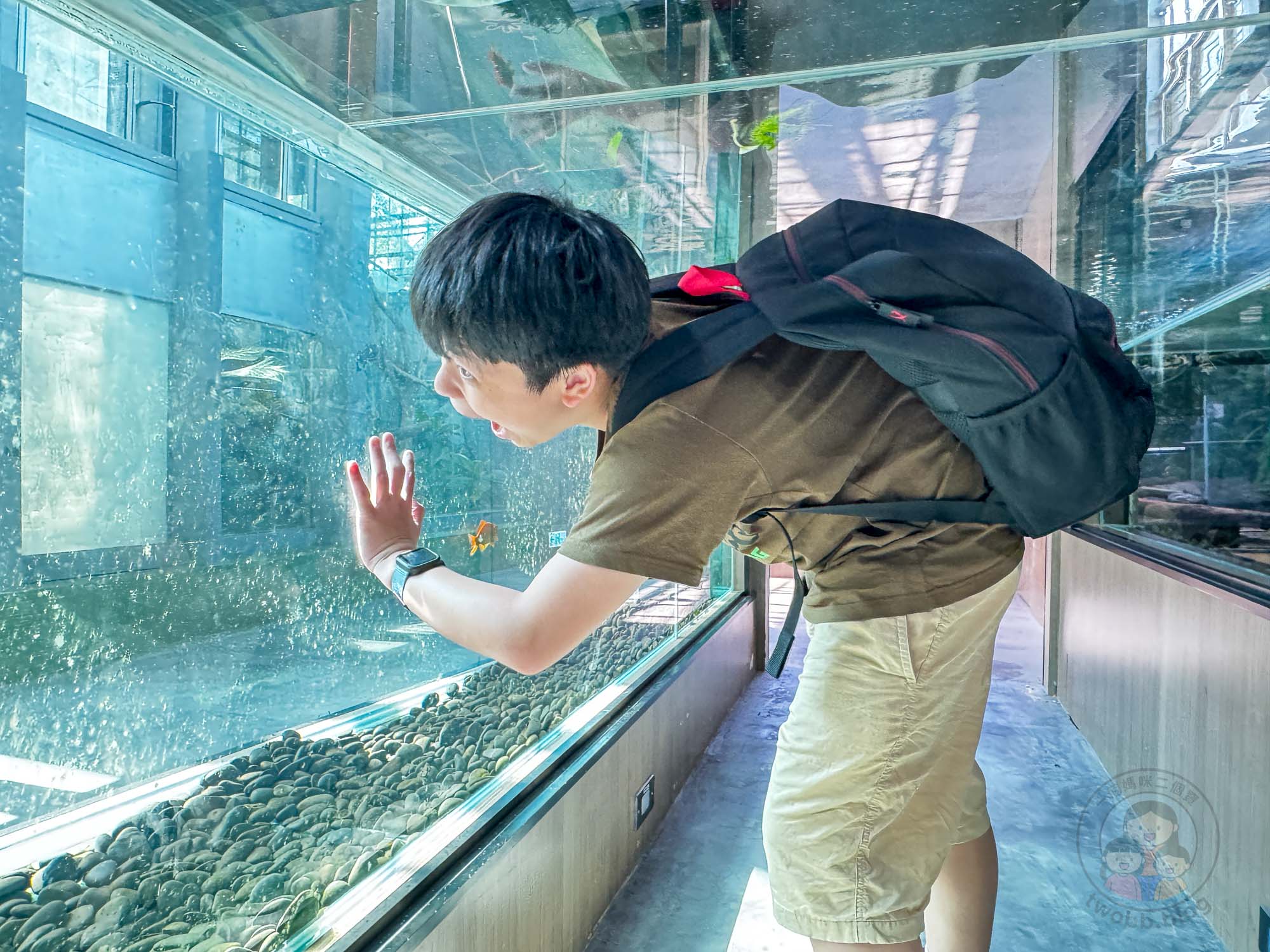 台南頑皮世界野生動物園