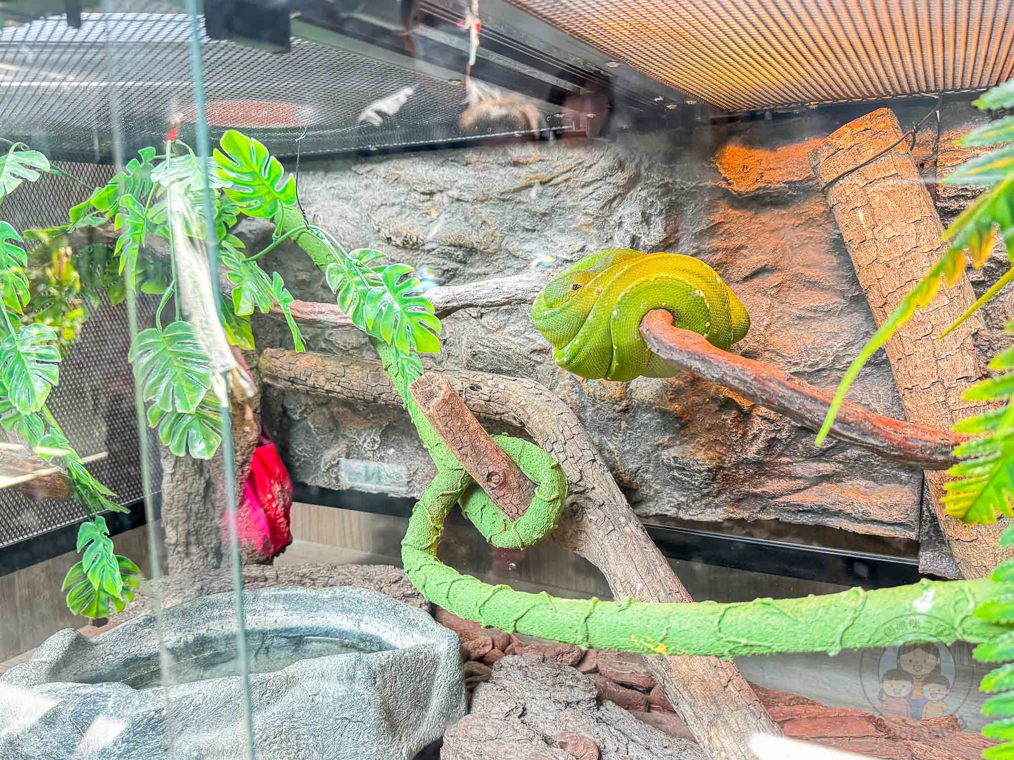 台南頑皮世界野生動物園