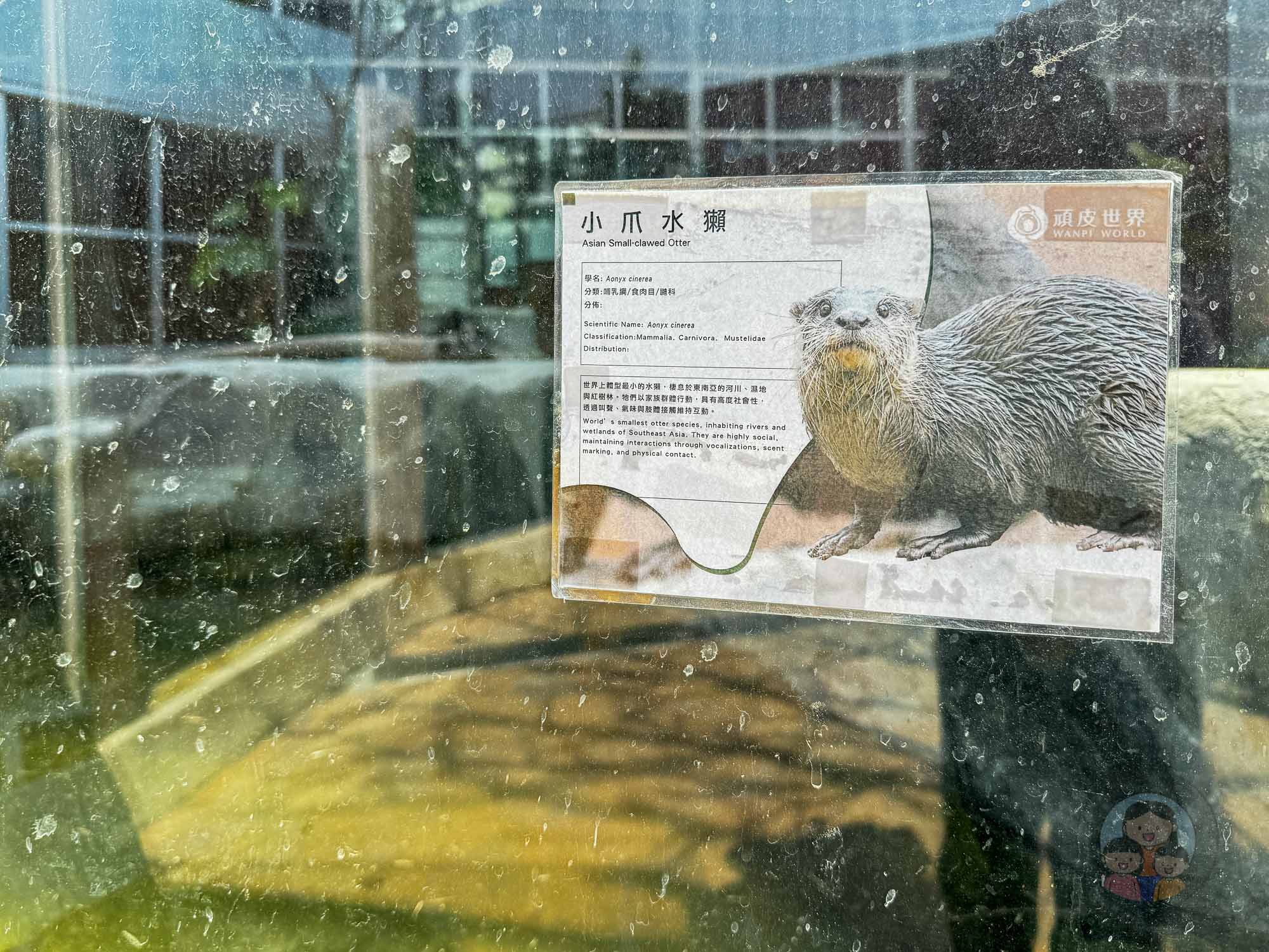 台南頑皮世界野生動物園
